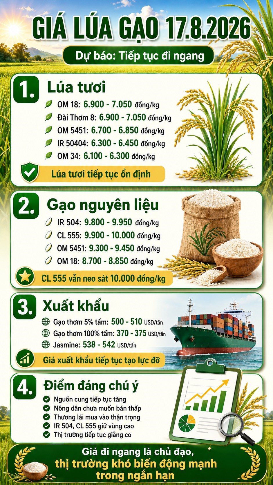 Giá lúa gạo hôm nay 17.8.2026: IR 504, CL 555 tiếp tục đáng chú ý - ảnh 3