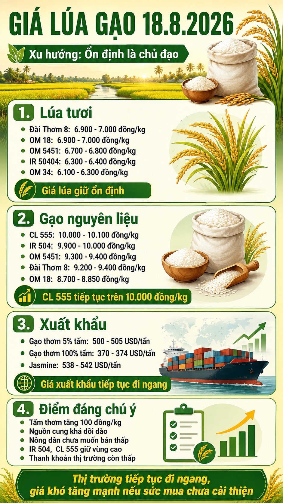 Giá lúa gạo hôm nay 18.8.2026: CL 555 vượt 10.000 đồng/kg - ảnh 3