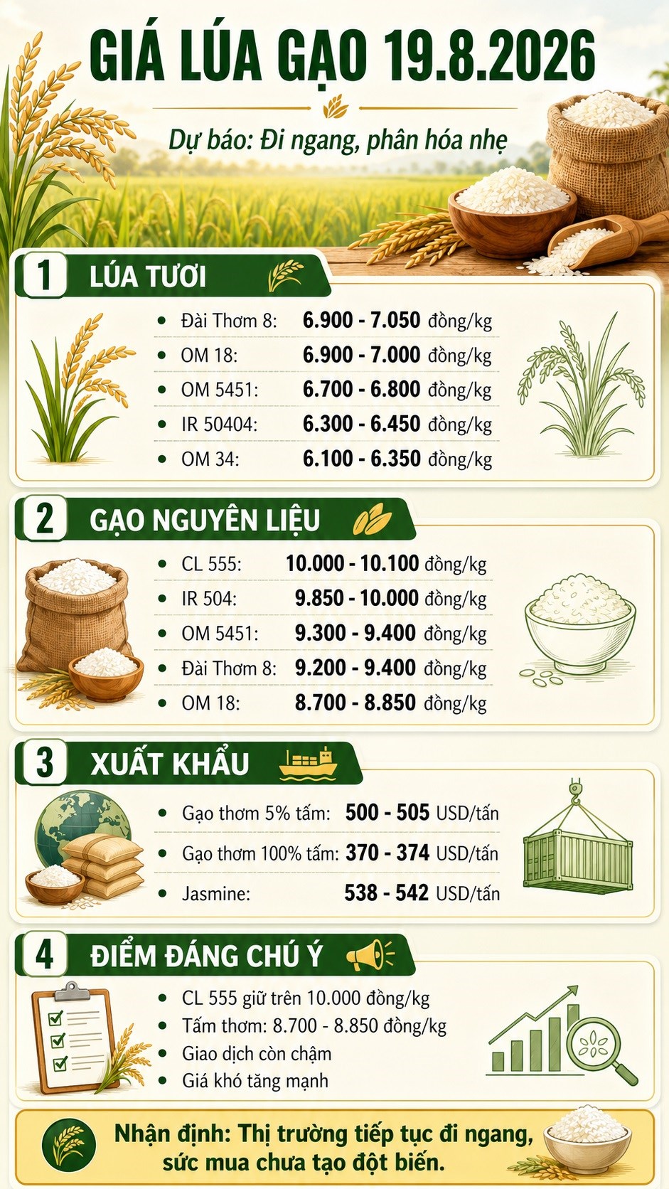Giá lúa gạo hôm nay 19.8.2026: CL 555 giữ trên 10.000 đồng/kg - ảnh 3