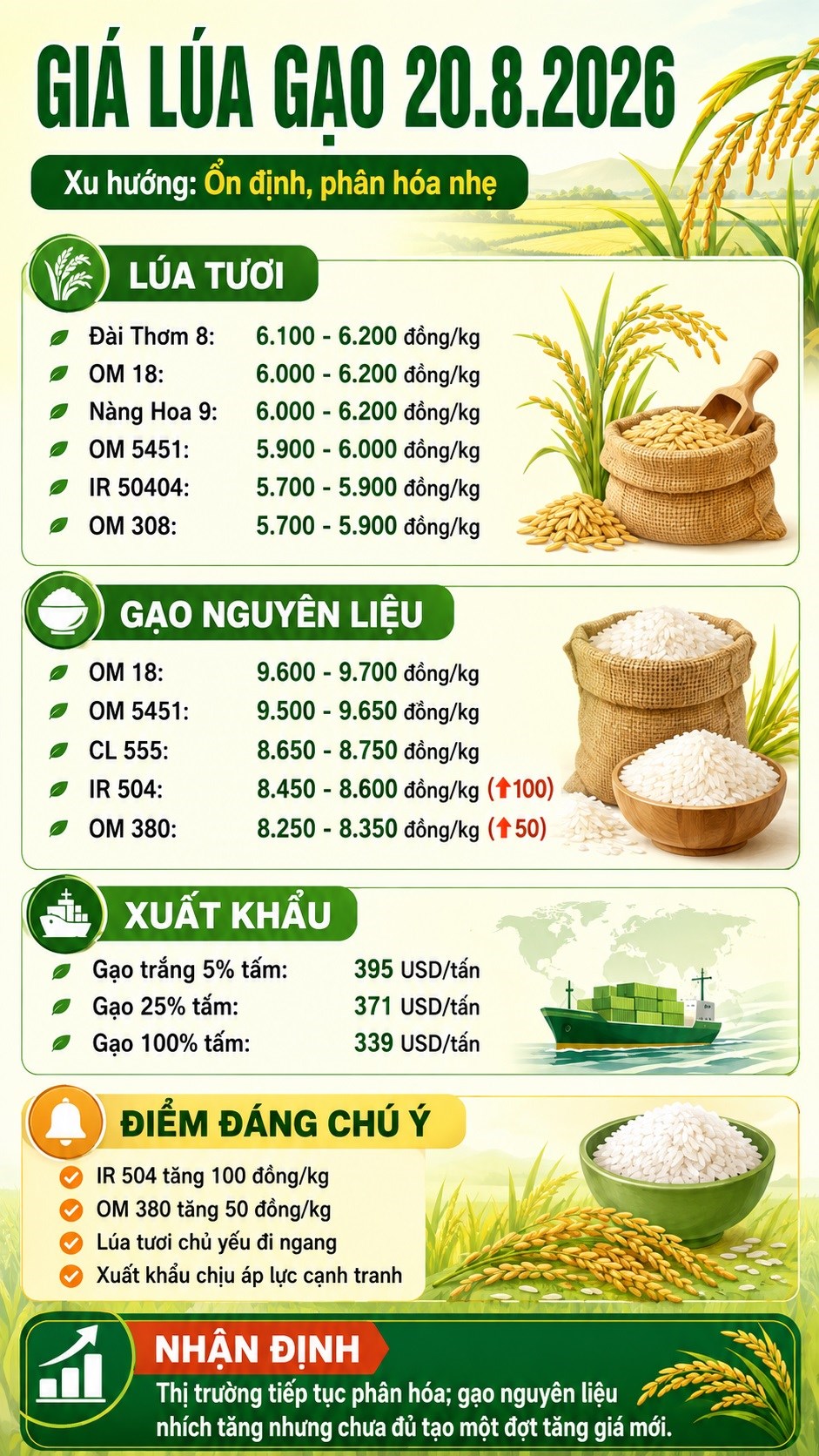 Giá lúa gạo hôm nay 20.8.2026: IR 504 tăng 100 đồng/kg - ảnh 3