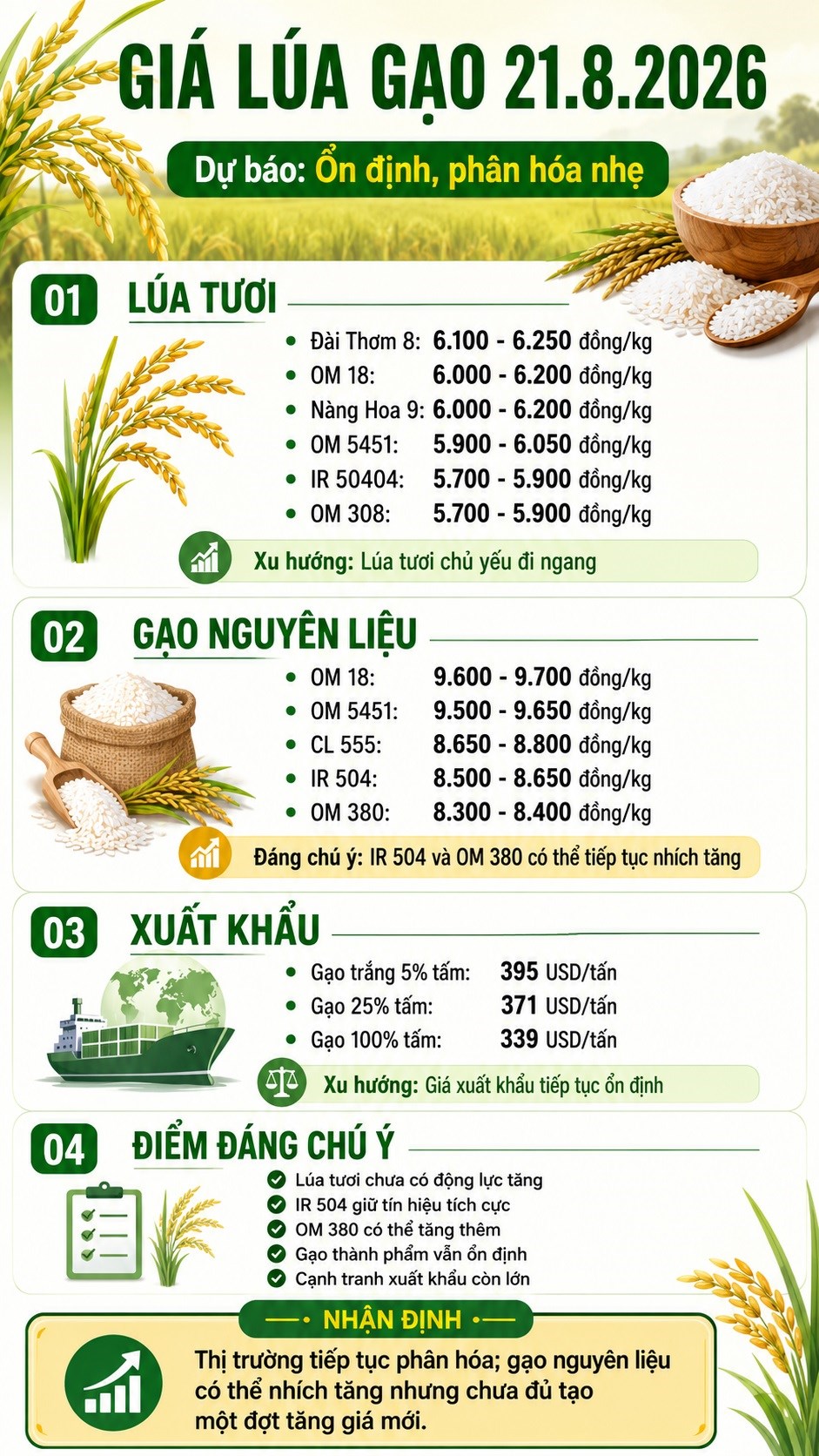 Giá lúa gạo hôm nay 21.8.2026: Lúa thơm giữ giá, xuất khẩu còn áp lực - ảnh 3