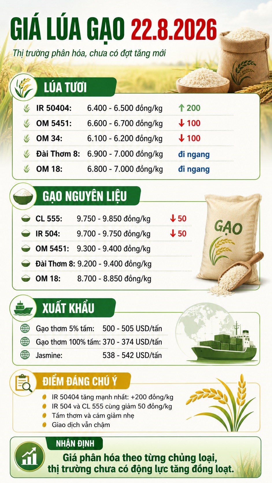 Giá lúa gạo hôm nay 22.8.2026: IR 50404 tăng 200 đồng/kg - ảnh 3