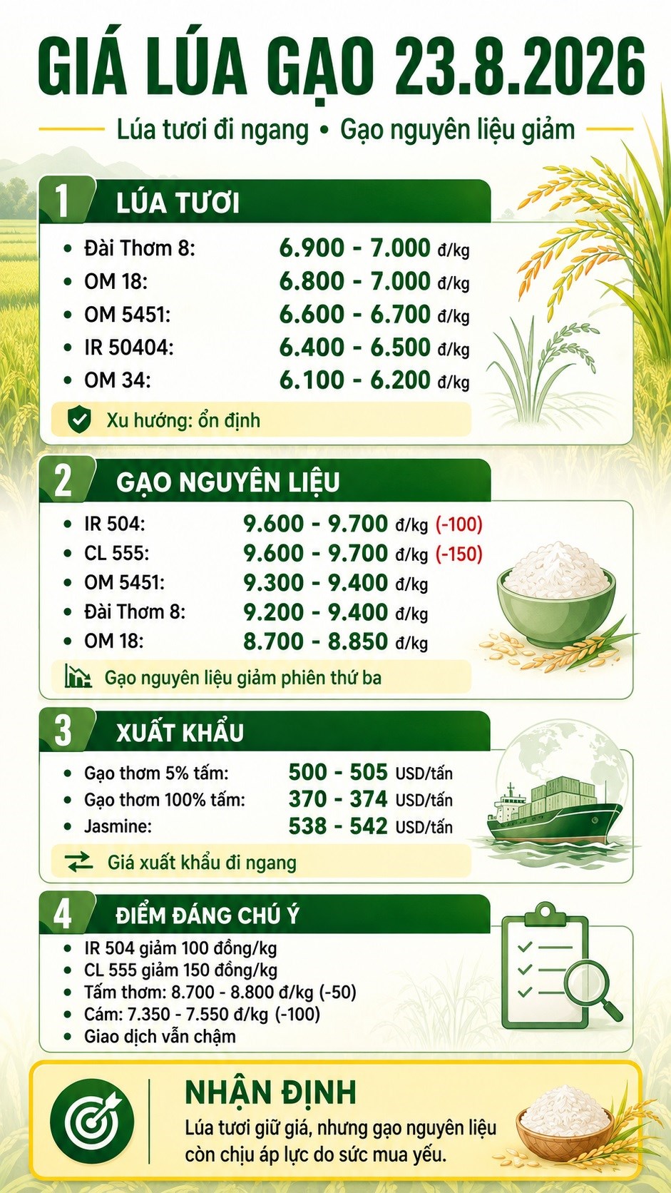 Giá lúa gạo hôm nay 23.8.2026: Lúa đi ngang, gạo nguyên liệu giảm - ảnh 3