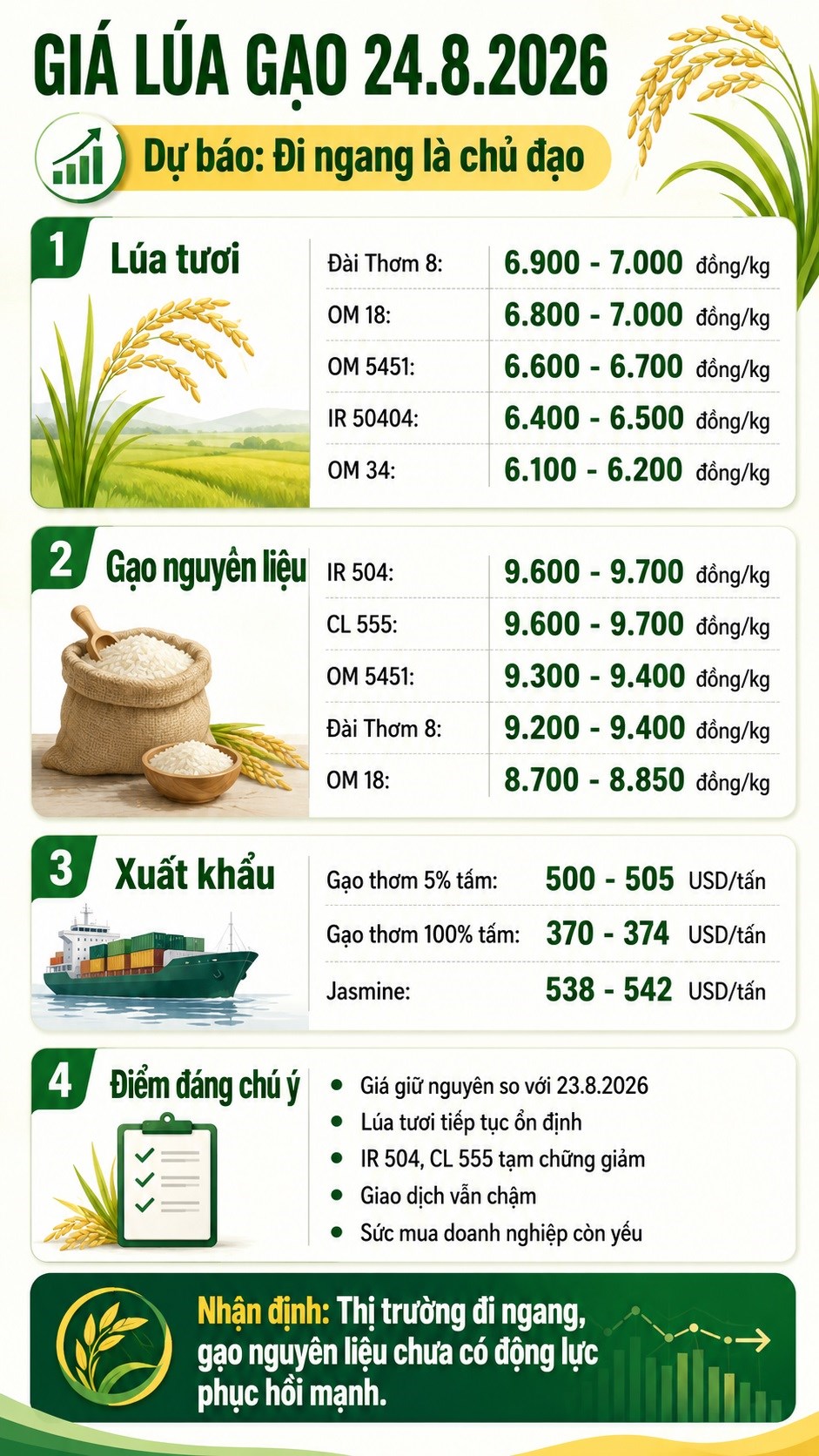 Giá lúa gạo 24.8.2026: IR 504, CL 555 có thể chững giảm - ảnh 3
