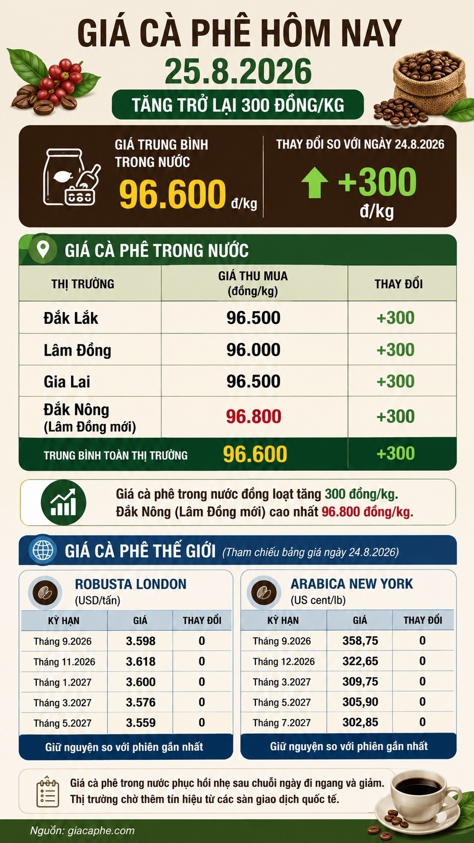 Giá cà phê hôm nay 25.8.2026 đồng loạt tăng 300 đồng/kg - ảnh 3
