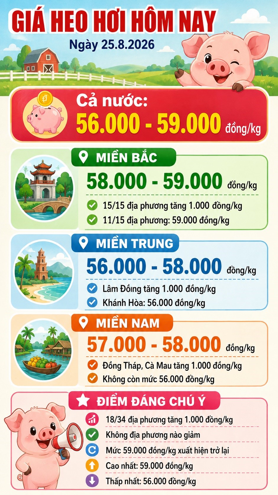 Giá heo hơi hôm nay 25.8.2026: Miền Bắc đồng loạt tăng - ảnh 3