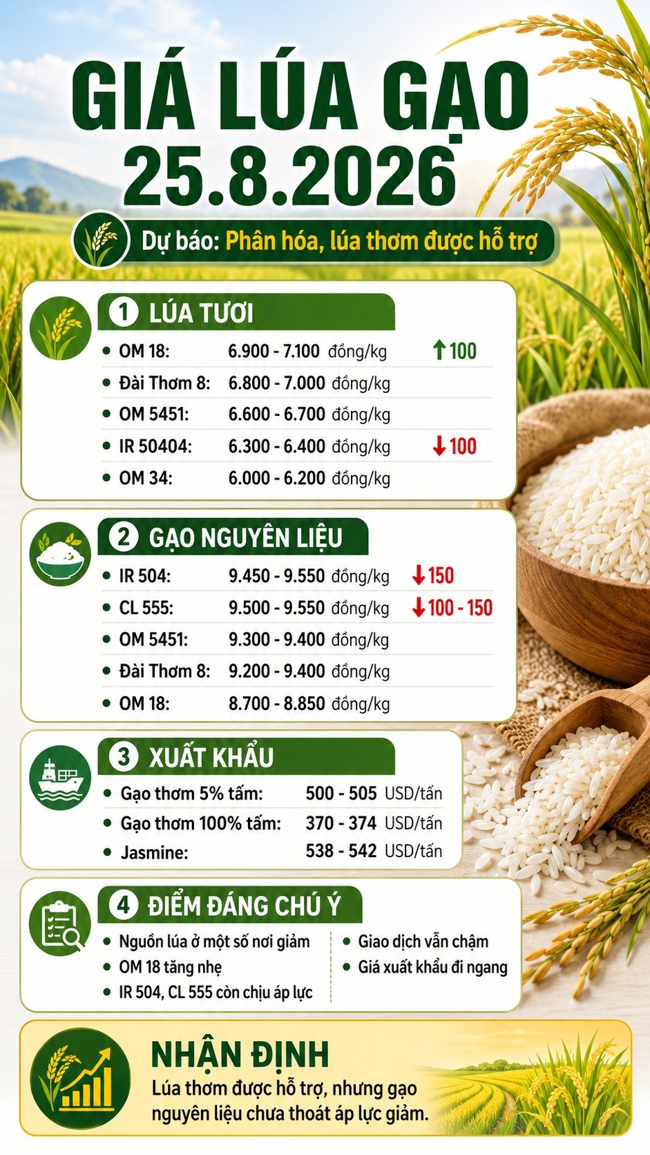 Giá lúa gạo hôm nay 25.8.2026: OM 18 tăng, IR 504 tiếp tục giảm - ảnh 3