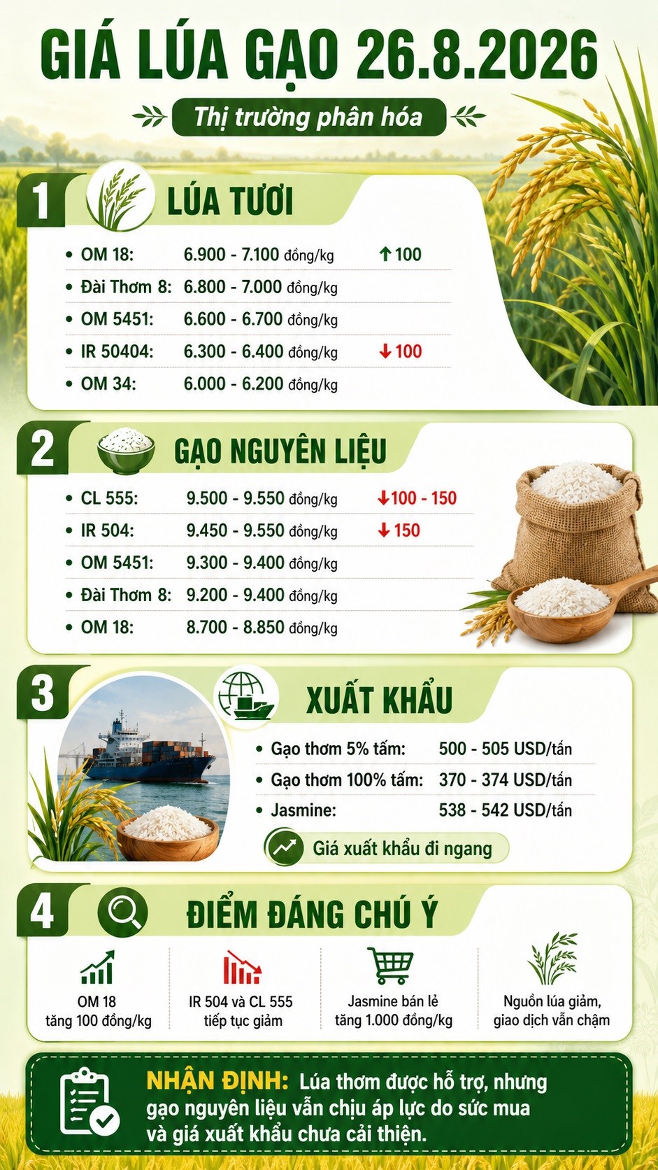 Giá lúa gạo hôm nay 26.8.2026: OM 18 tăng, IR 504 giảm 150 đồng/kg - ảnh 3
