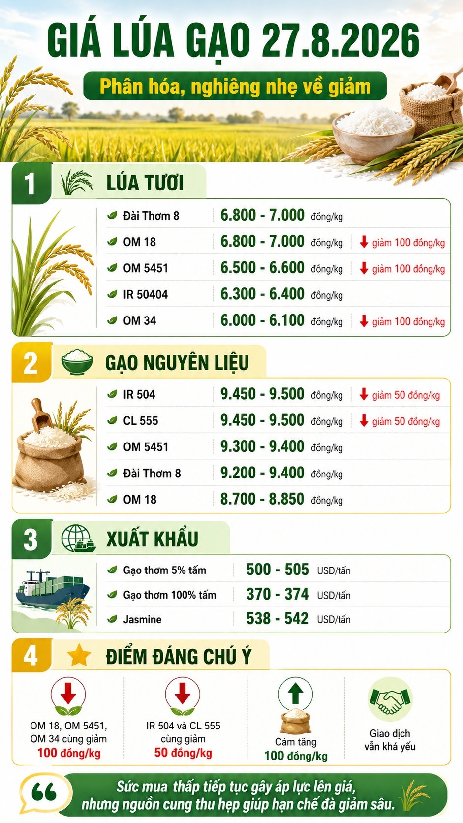 Giá lúa gạo hôm nay 27.8.2026: OM 18, OM 5451 cùng giảm 100 đồng/kg - ảnh 3