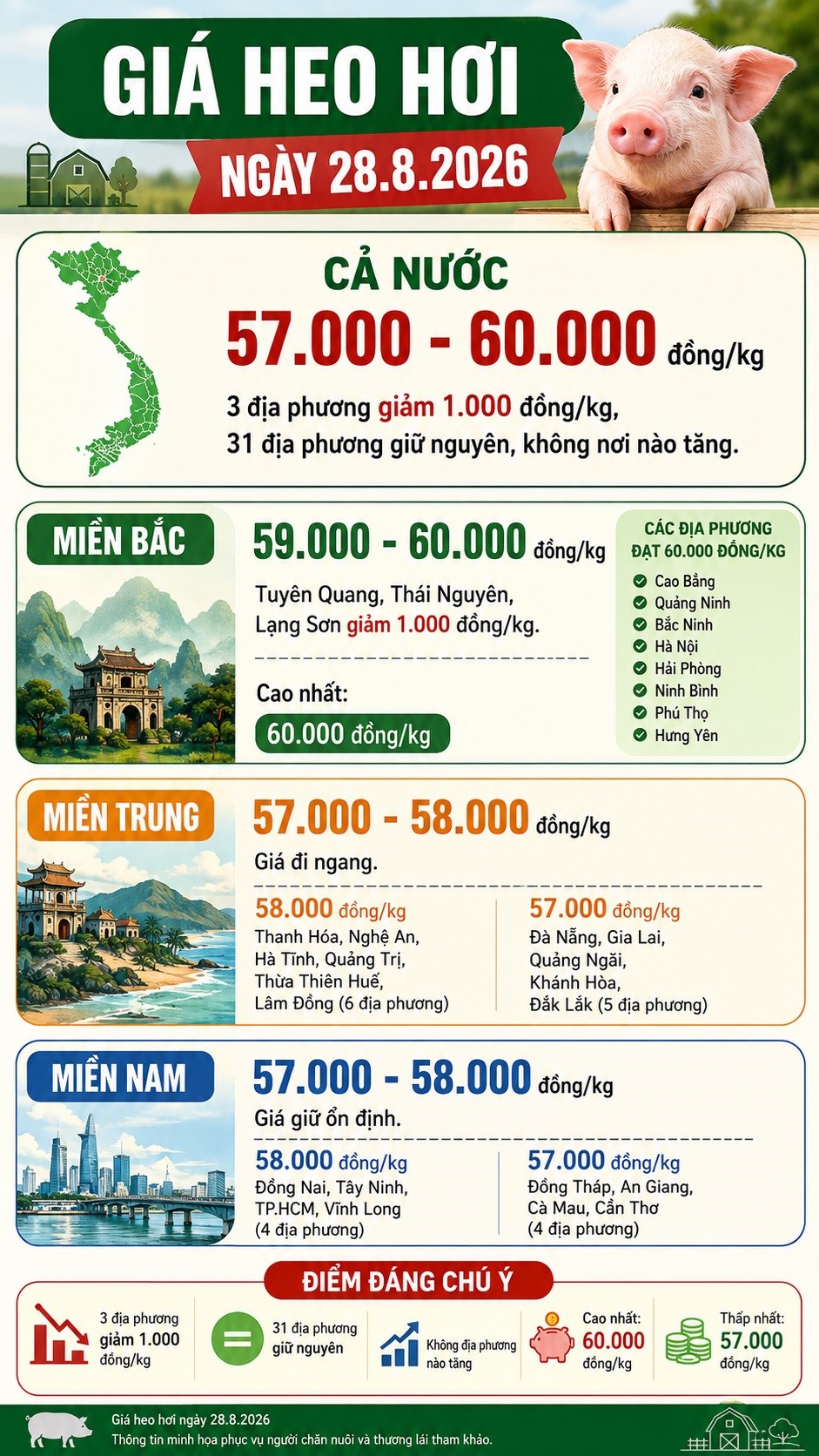 Giá heo hơi hôm nay 28.8.2026: Ba địa phương miền Bắc giảm giá - ảnh 3