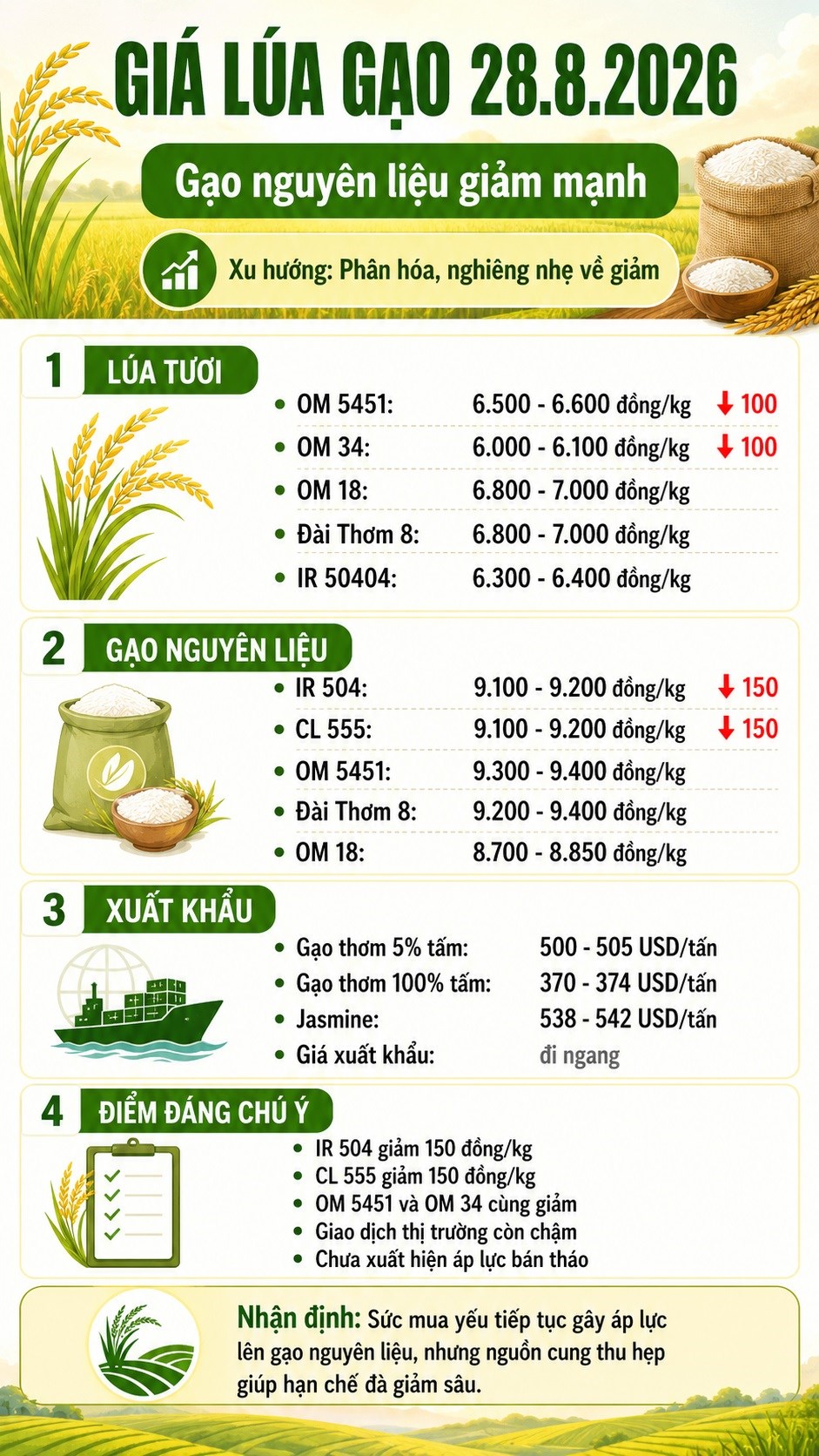 Giá lúa gạo hôm nay 28.8.2026: Gạo nguyên liệu tiếp tục giảm - ảnh 3