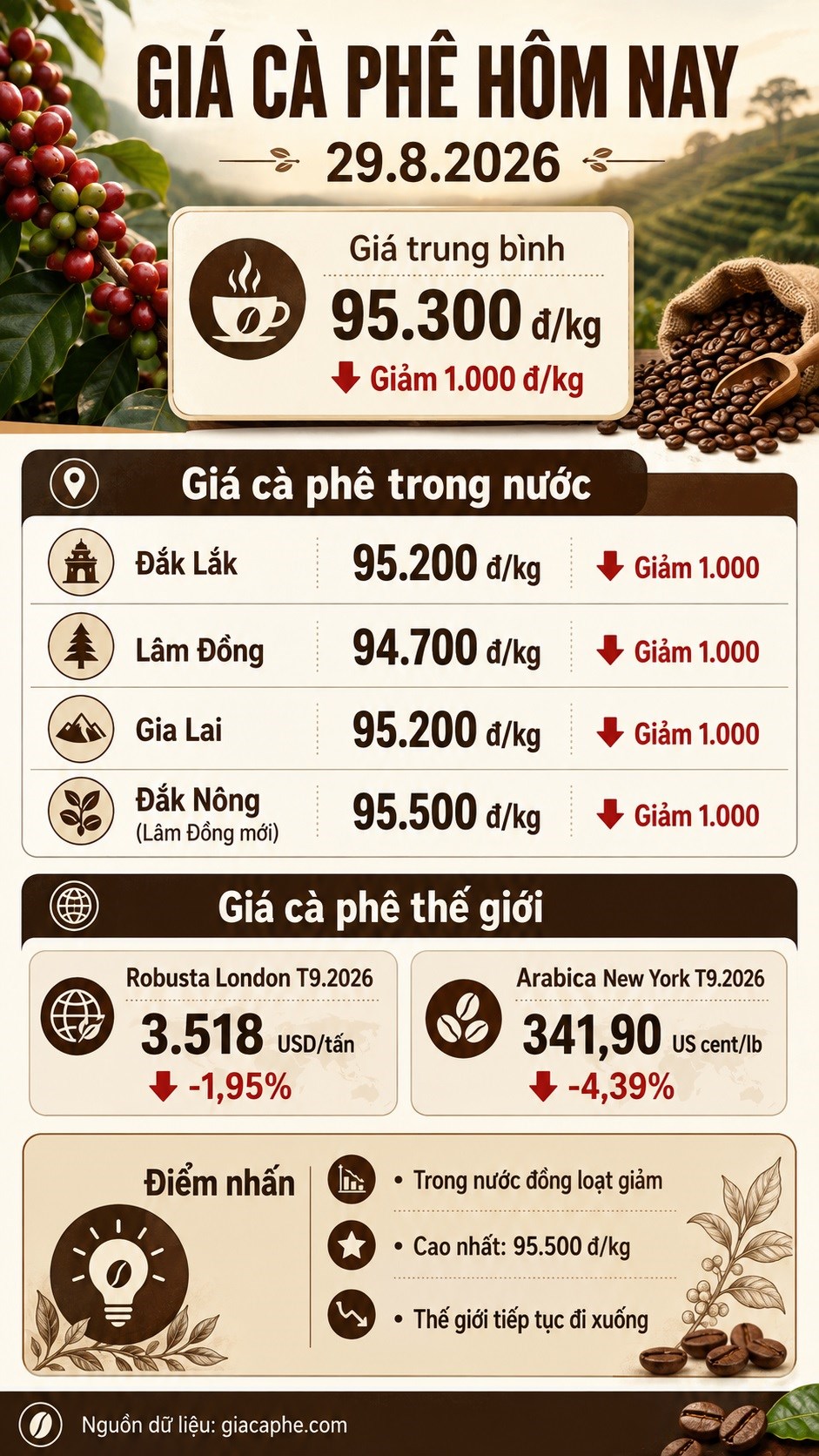 Giá cà phê hôm nay 29.8.2026 giảm tiếp, cao nhất còn 95.500 đồng/kg - ảnh 3