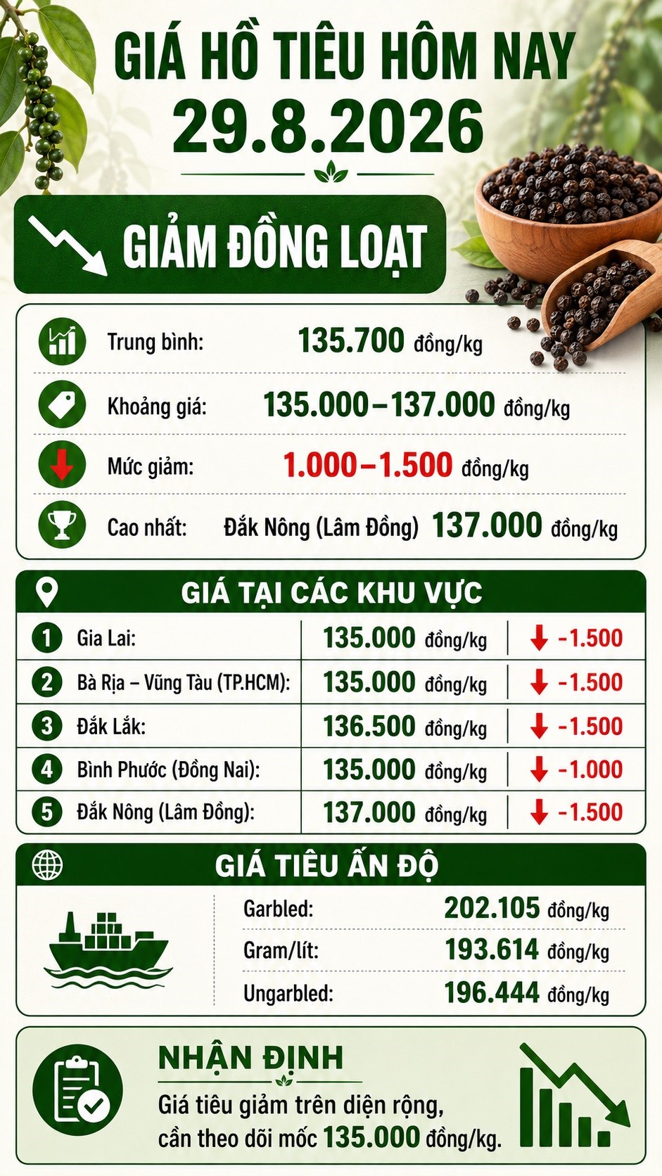 Giá hồ tiêu hôm nay 29.8.2026: Đồng loạt giảm tới 1.500 đồng/kg - ảnh 3