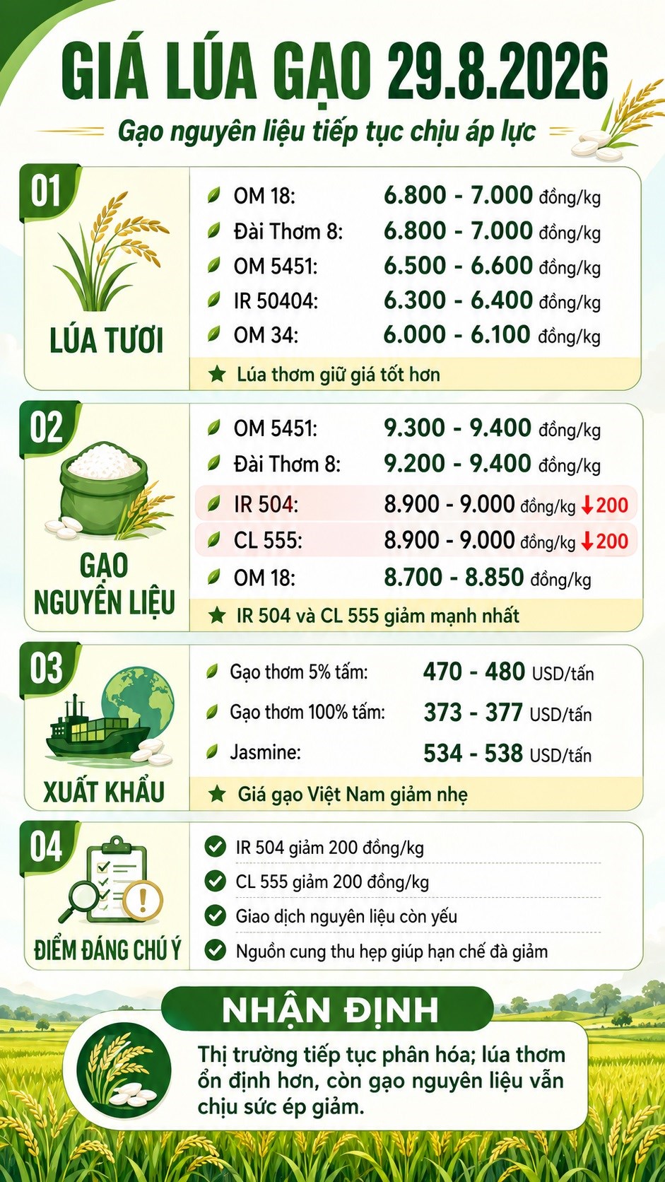 Giá lúa gạo hôm nay 29.8.2026: Gạo nguyên liệu tiếp tục lao dốc - ảnh 3