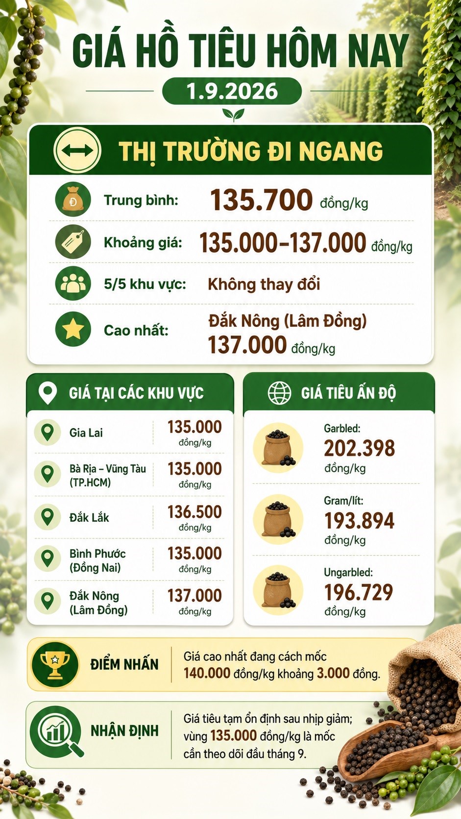 Giá hồ tiêu hôm nay 1.9.2026: Cao nhất 137.000 đồng/kg - ảnh 3