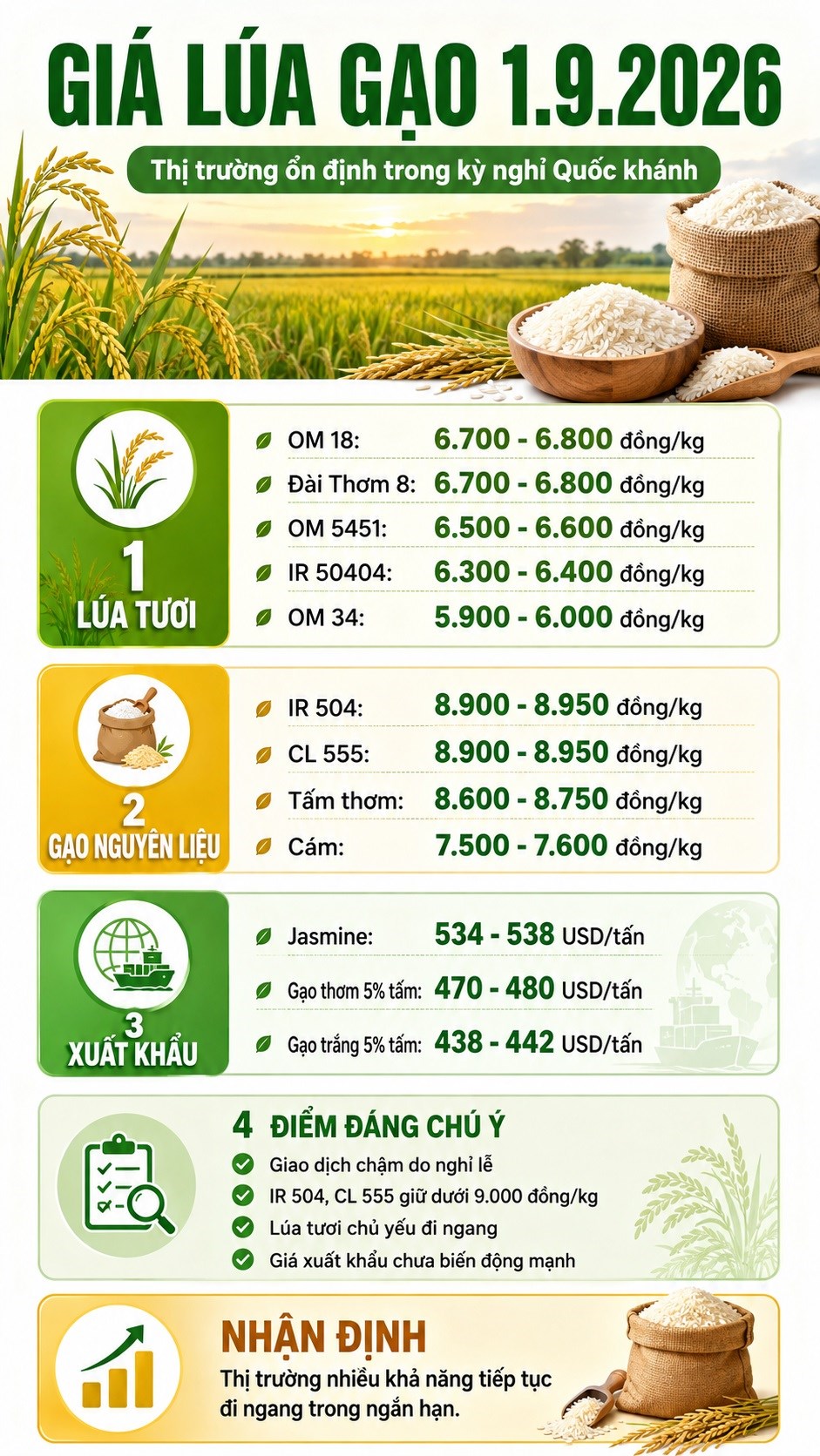 Giá lúa gạo hôm nay 1.9.2026: Thị trường đi ngang trong kỳ nghỉ lễ - ảnh 3
