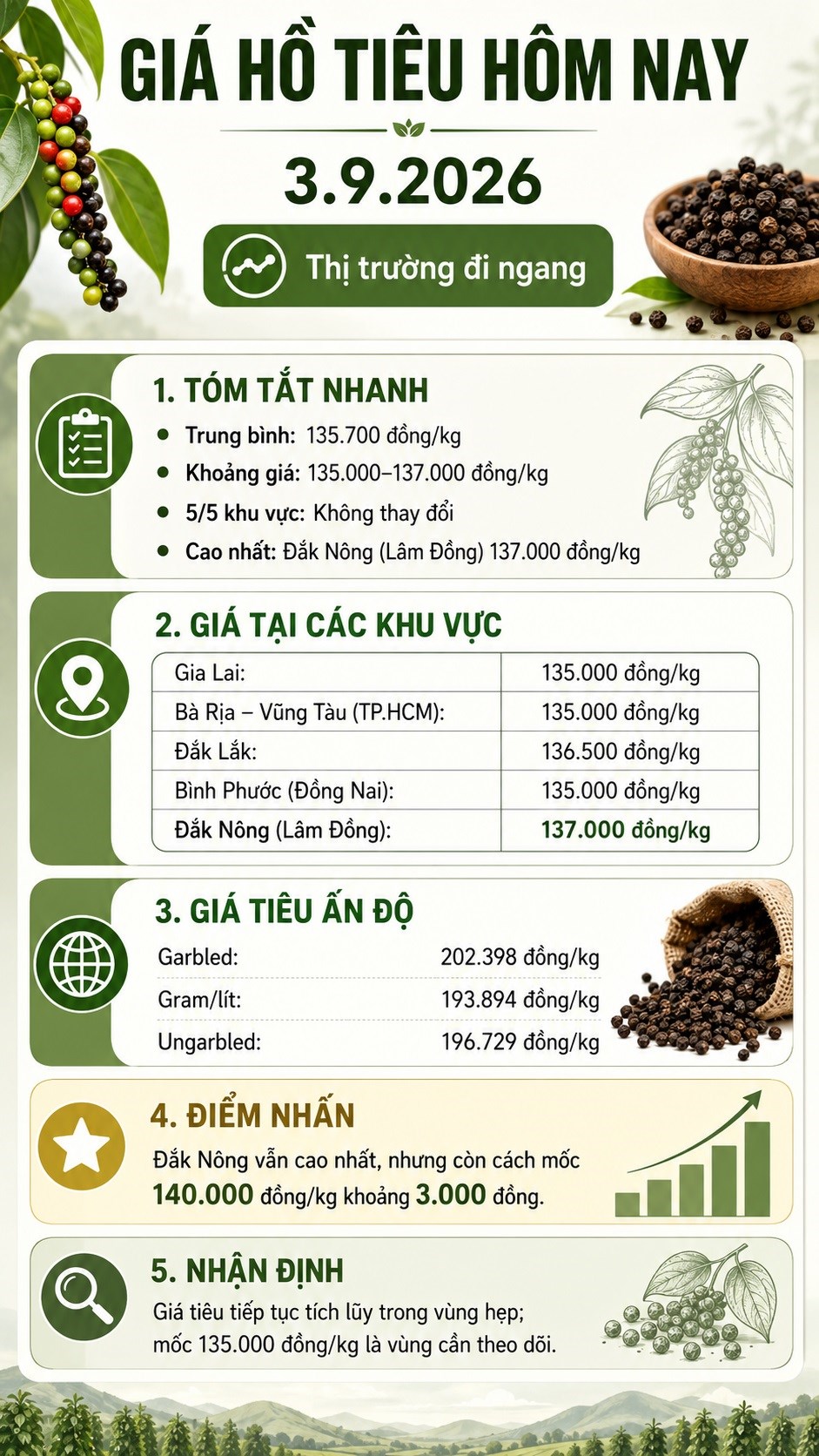 Giá hồ tiêu hôm nay 3.9.2026 giữ vùng 135.000–137.000 đồng/kg - ảnh 3