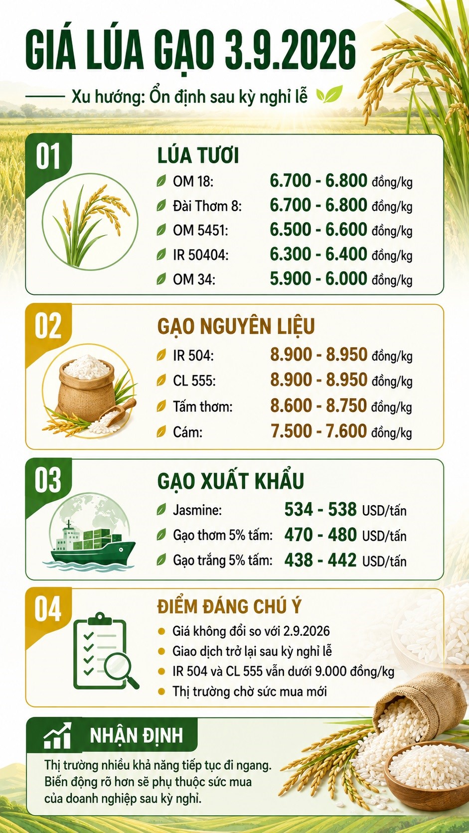 Giá lúa gạo hôm nay 3.9.2026: Thị trường giữ giá sau kỳ nghỉ lễ - ảnh 3
