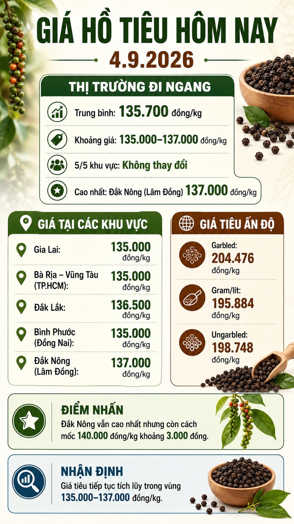 Giá hồ tiêu hôm nay 4.9.2026: Cao nhất 137.000 đồng/kg - ảnh 3