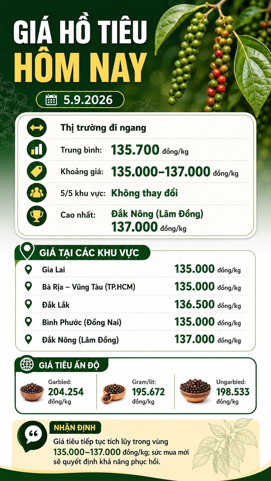 Giá hồ tiêu hôm nay 5.9.2026: Cao nhất 137.000 đồng/kg - ảnh 3