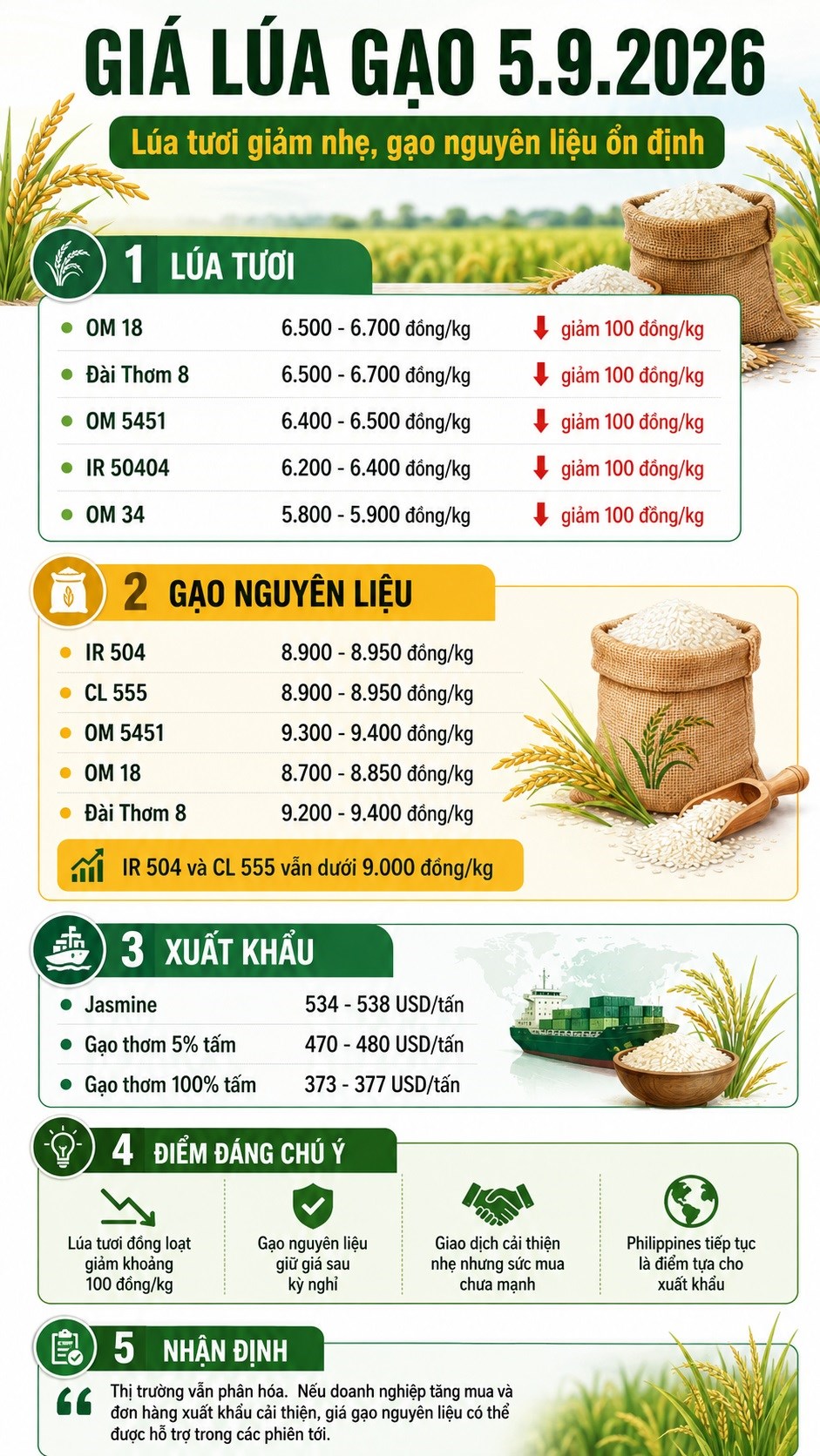 Giá lúa gạo hôm nay 5.9: Lúa tươi đồng loạt giảm 100 đồng/kg - ảnh 3