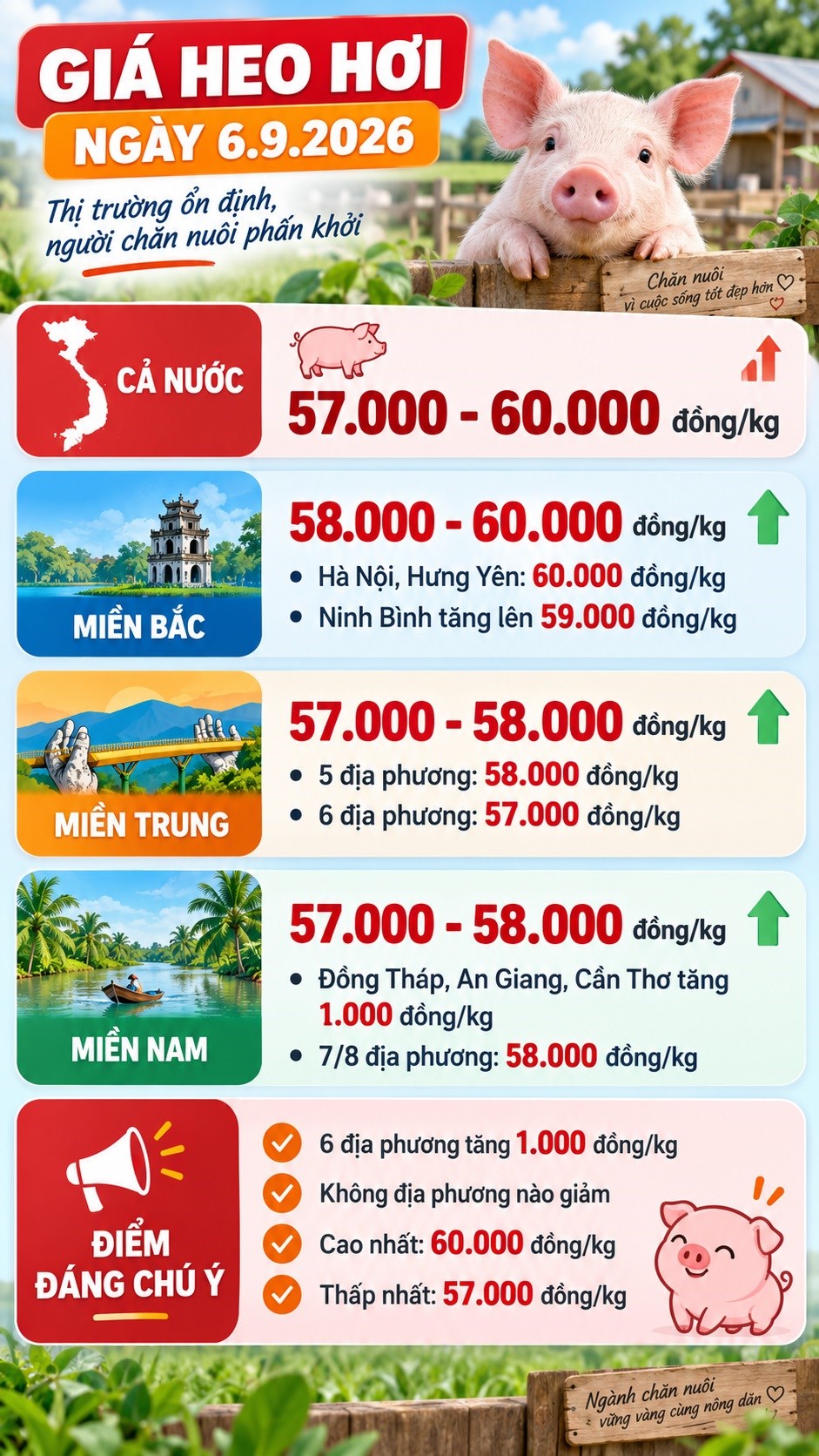 Giá heo hơi hôm nay 6.9.2026: Hà Nội, Hưng Yên lên 60.000 đồng/kg - ảnh 3
