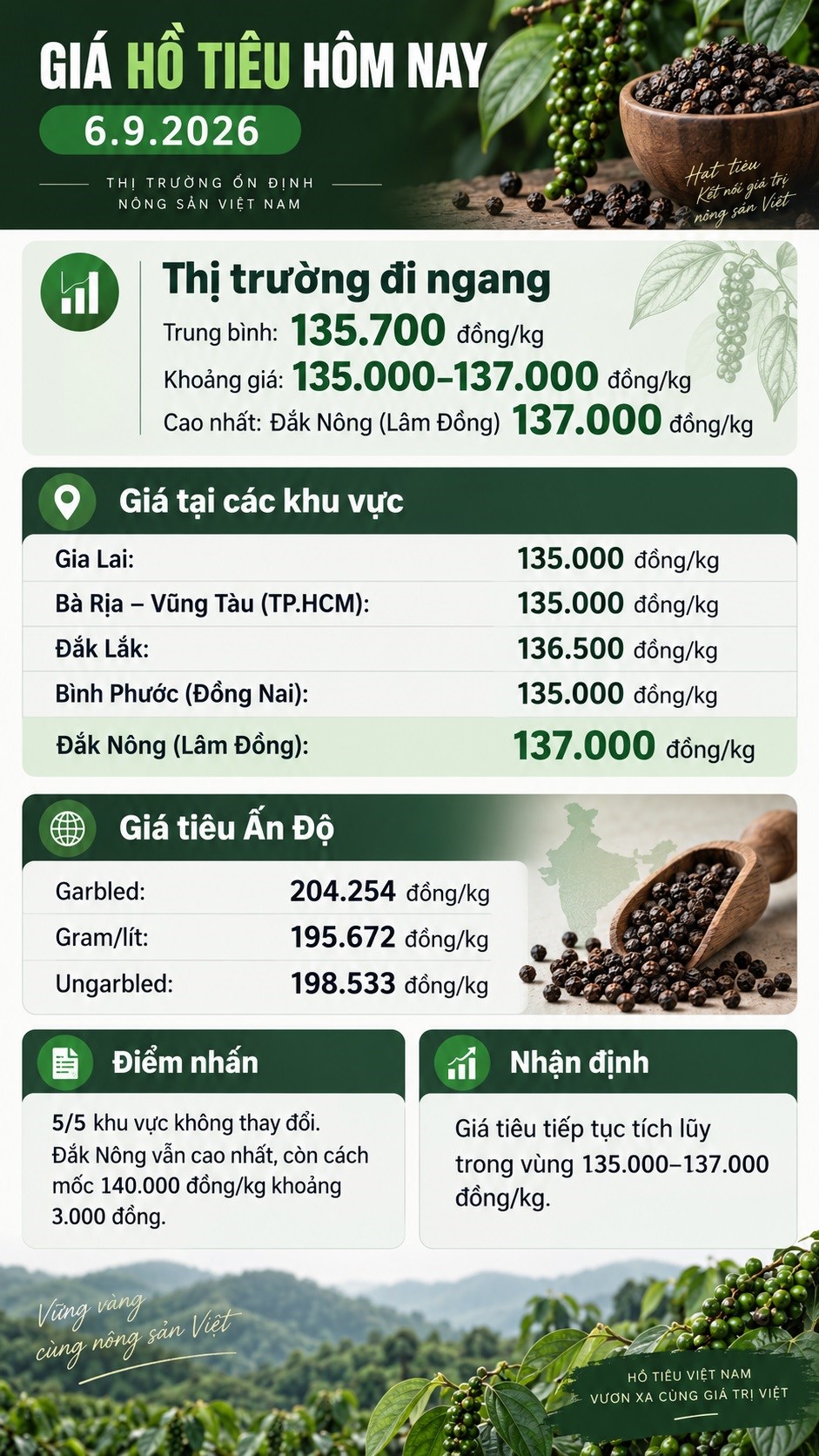 Giá tiêu hôm nay 6.9 chưa bật tăng, thị trường chờ lực mua mới - ảnh 3