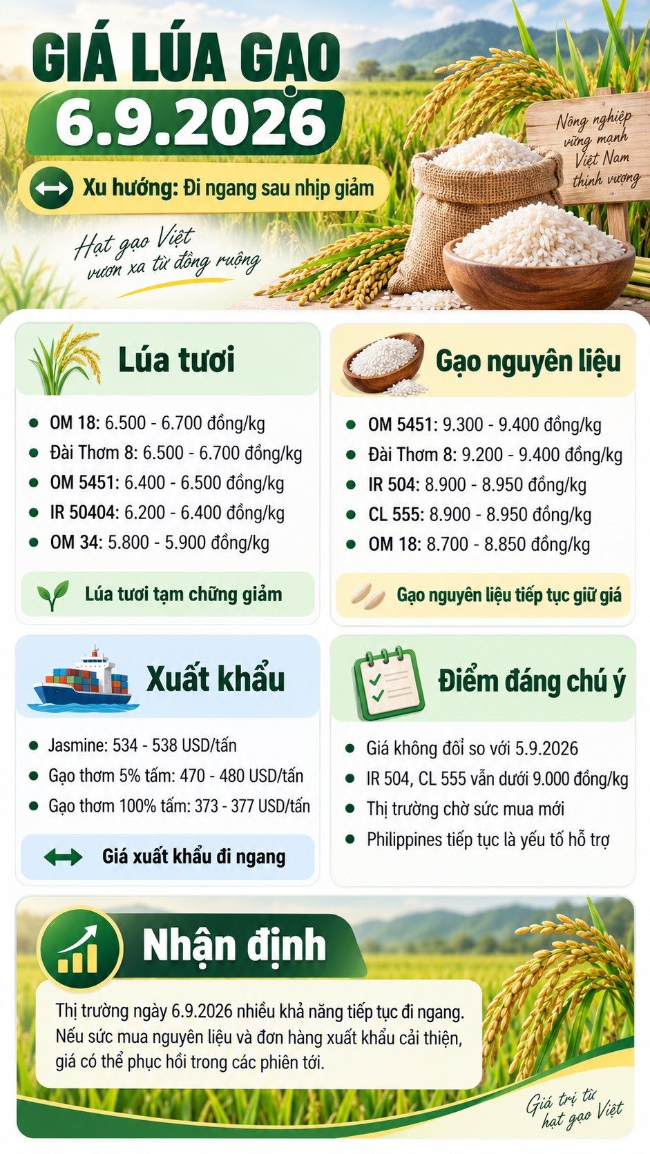 Giá lúa gạo hôm nay 6.9.2026: IR 504, CL 555 vẫn dưới 9.000 đồng/kg - ảnh 3