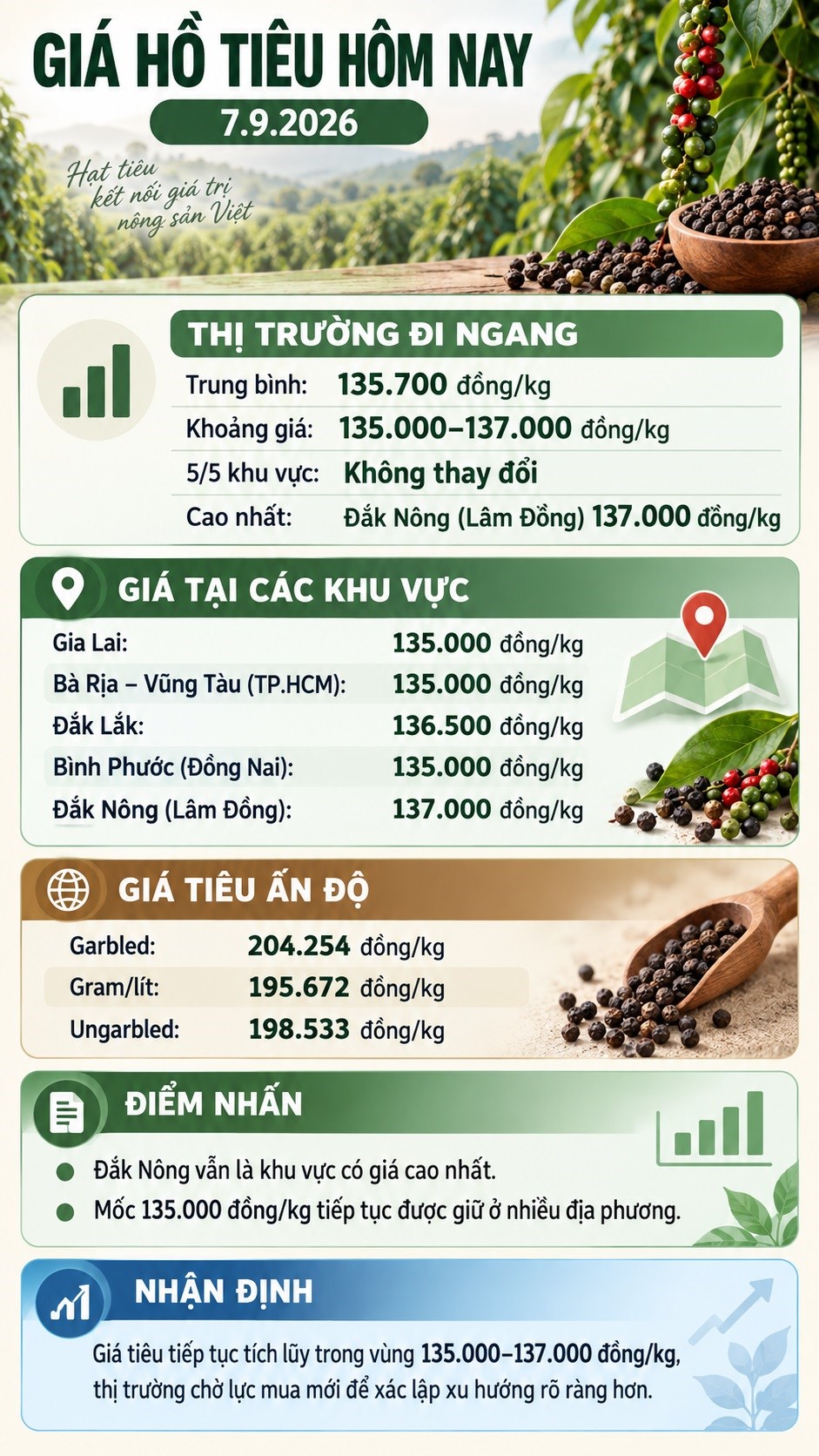 Giá hồ tiêu hôm nay 7.9 đi ngang, thị trường chưa có biến động mới - ảnh 3