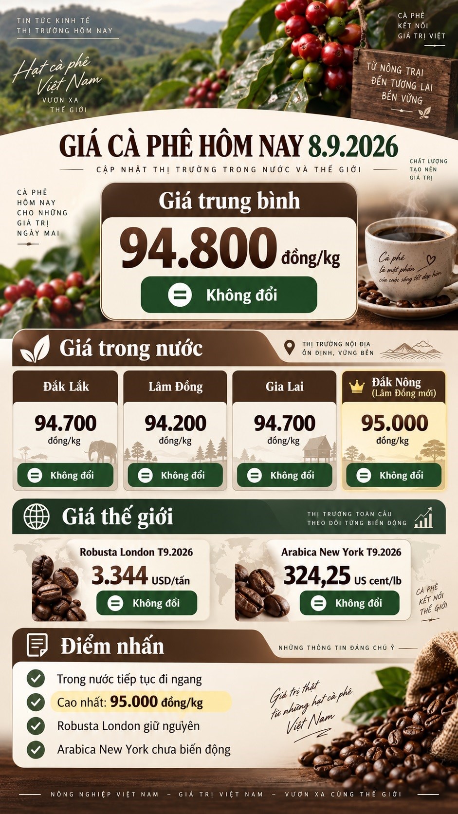 Giá cà phê hôm nay 8.9.2026: Trong nước và thế giới cùng giữ giá - ảnh 3