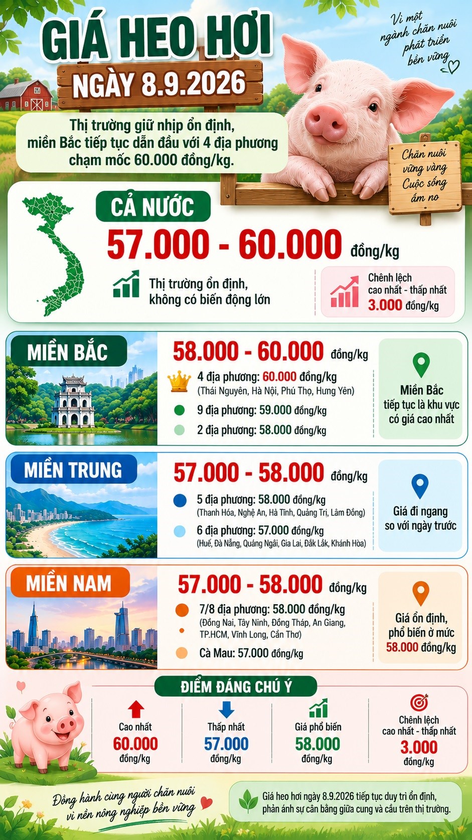 Giá heo hơi hôm nay 8.9.2026: Cả nước dao động 57.000 - 60.000 đồng/kg - ảnh 3