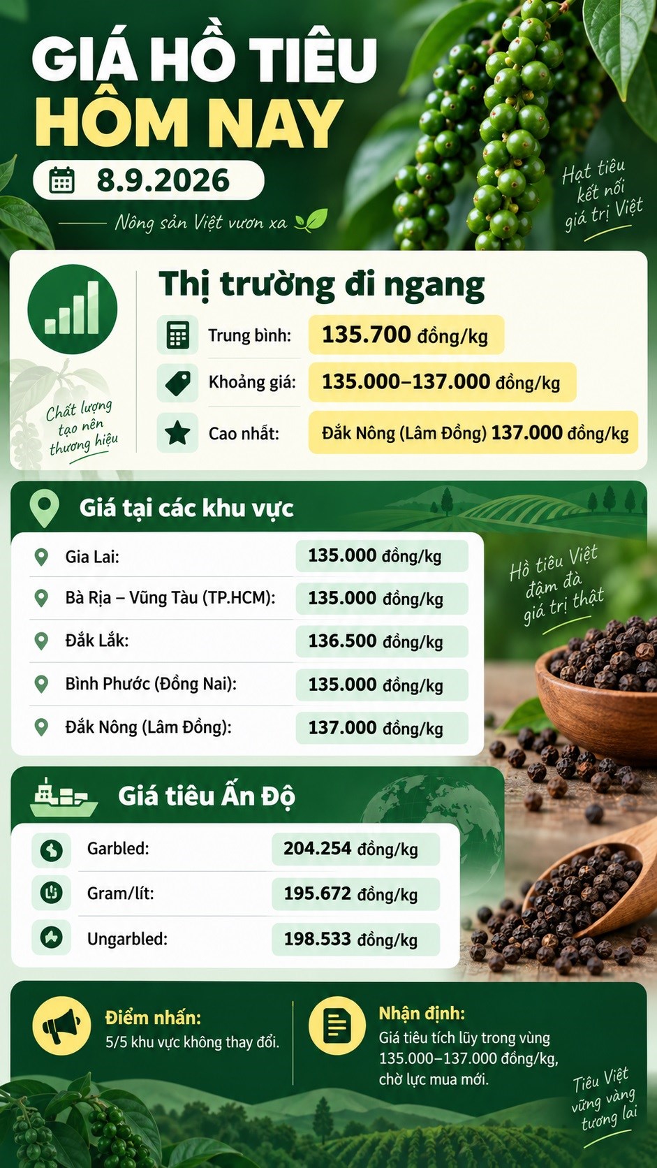 Giá hồ tiêu hôm nay 8.9.2026: Cao nhất 137.000 đồng/kg - ảnh 3