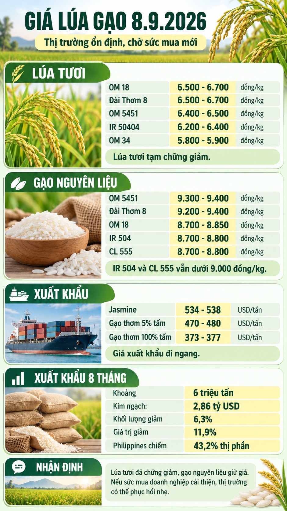 Giá lúa gạo hôm nay 8.9.2026: OM 18, Đài Thơm 8 tiếp tục giữ giá - ảnh 3