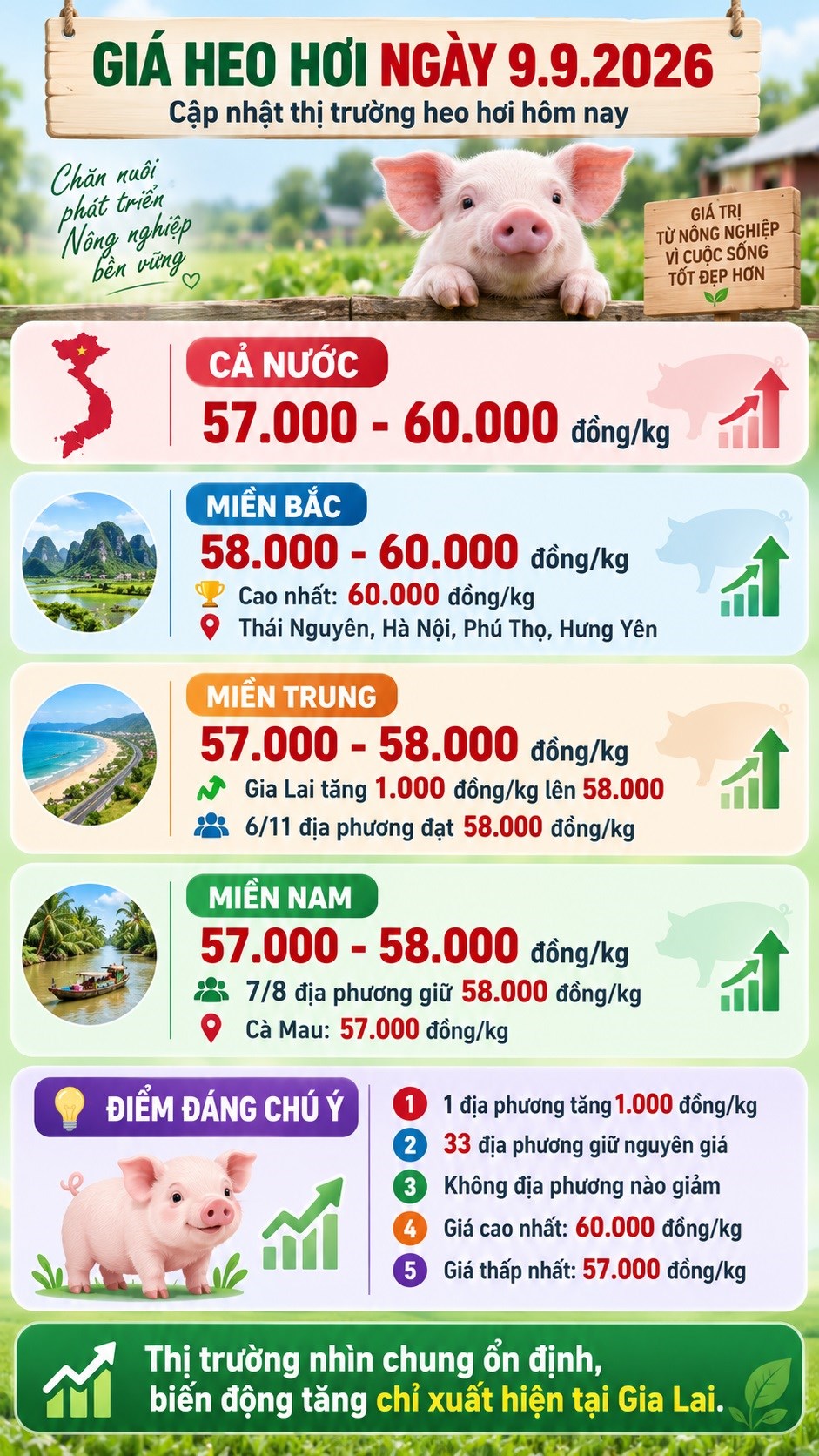 Giá heo hơi hôm nay 9.9.2026: Miền Bắc giữ đỉnh 60.000 đồng/kg - ảnh 3