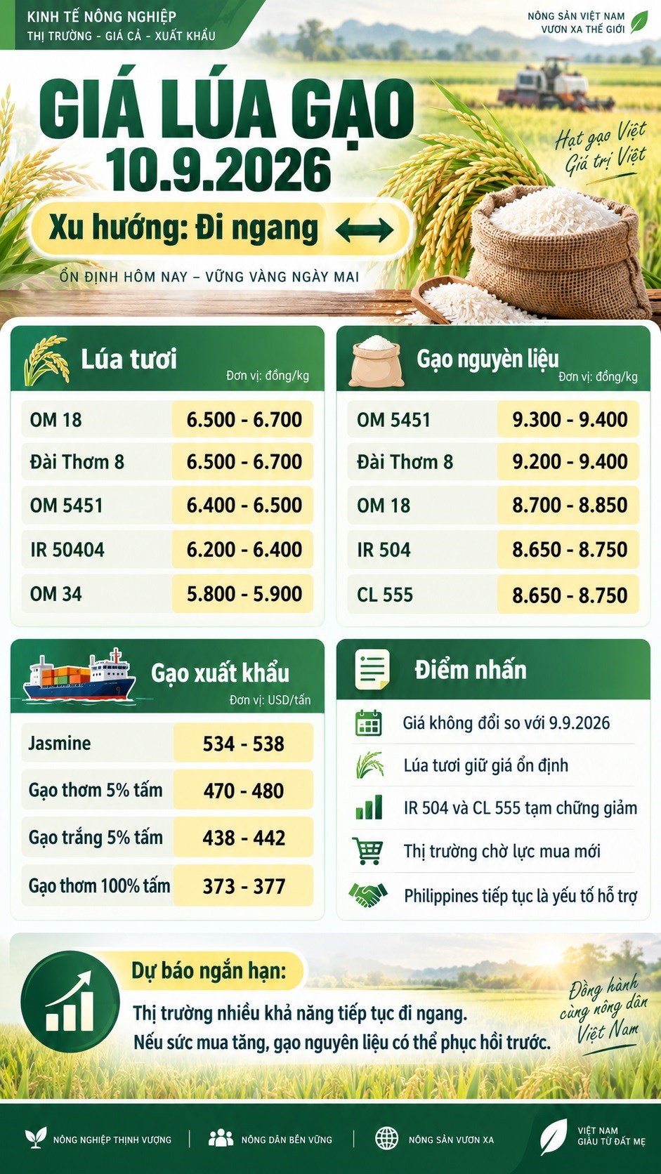 Giá lúa gạo hôm nay 10.9.2026: IR 504, CL 555 chững giảm sau phiên yếu - ảnh 3
