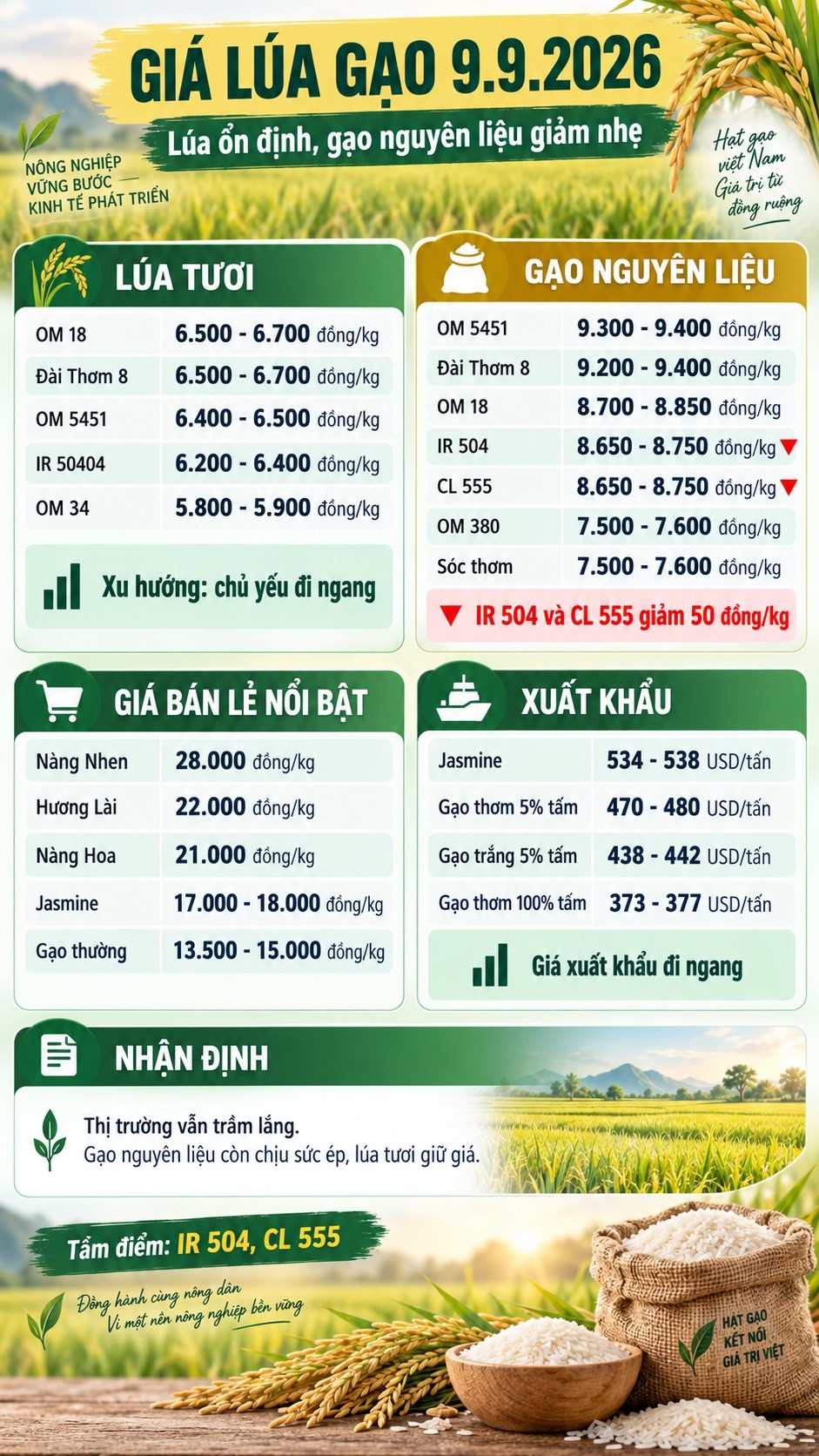 Giá lúa gạo hôm nay 9.9.2026: IR 504, CL 555 cùng giảm 50 đồng/kg - ảnh 3