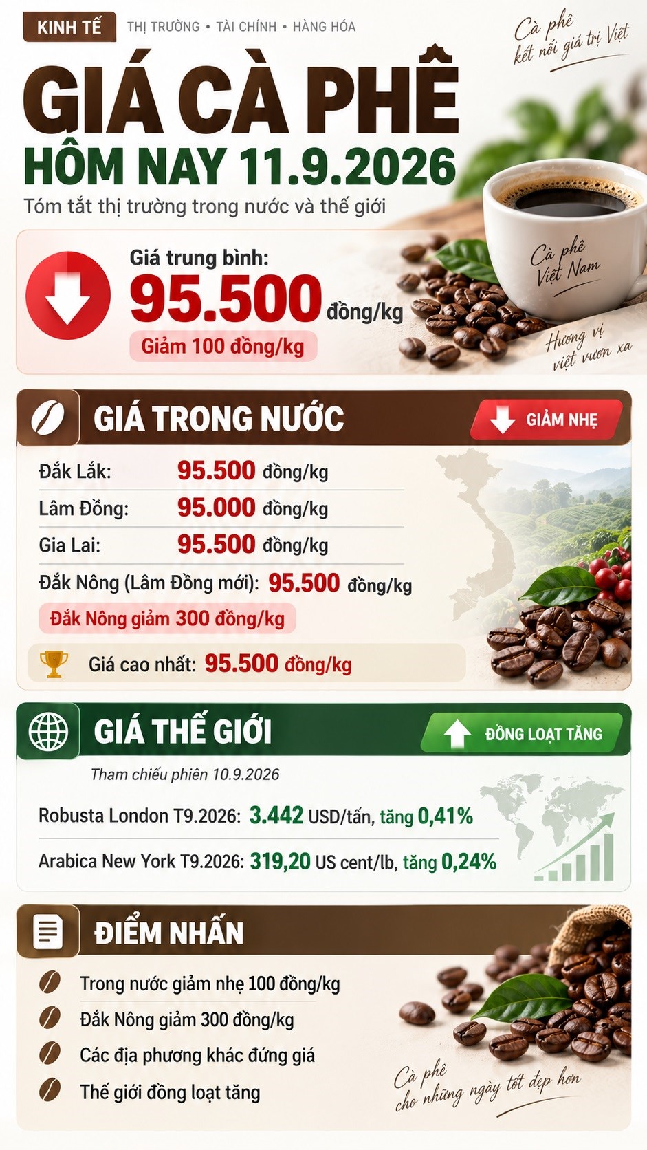 Giá cà phê hôm nay 11.9.2026 giảm nhẹ, cao nhất giữ mức 95.500 đồng/kg - ảnh 3