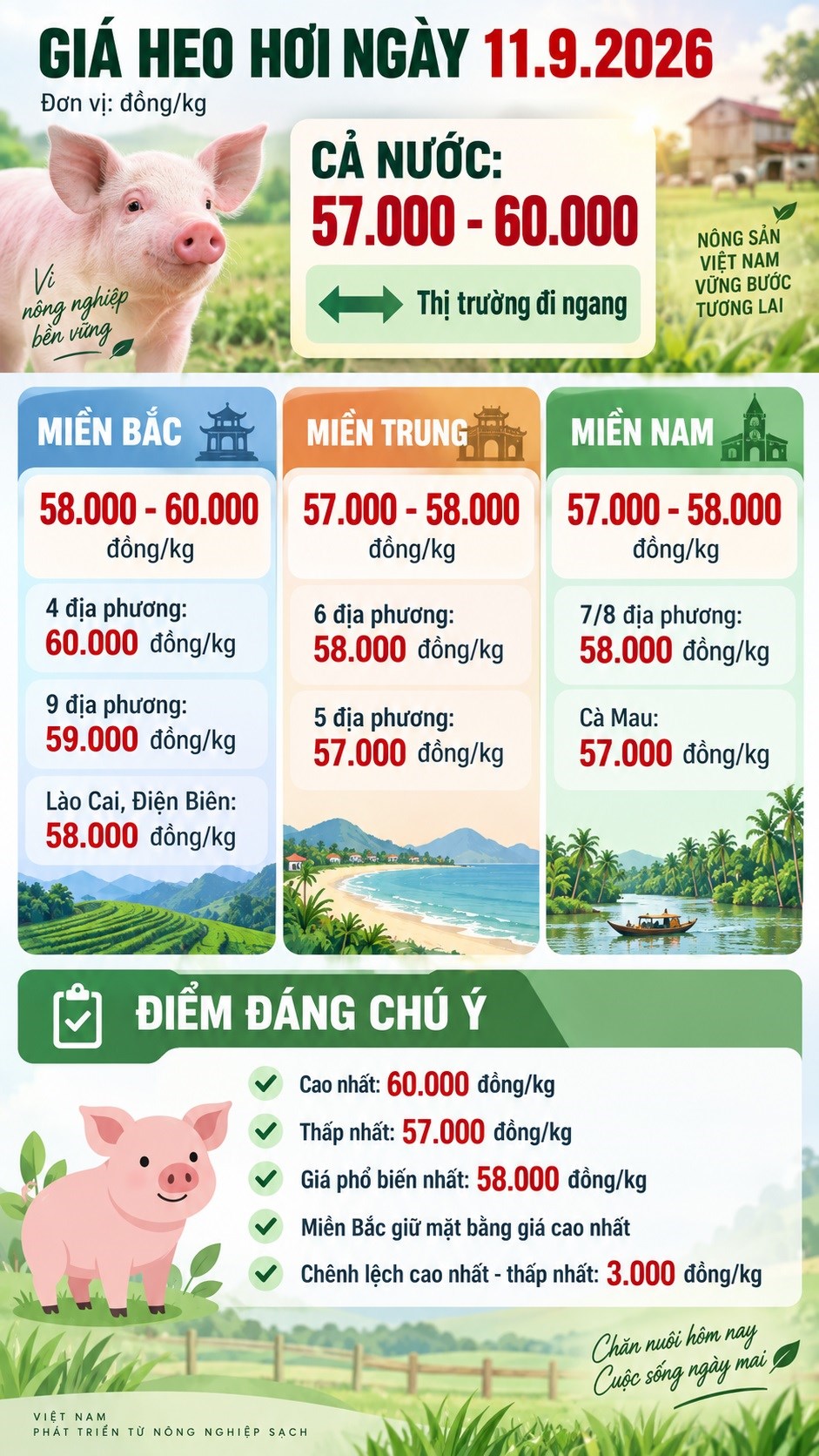 Giá heo hơi hôm nay 11.9: Cả nước dao động 57.000 - 60.000 đồng/kg - ảnh 3