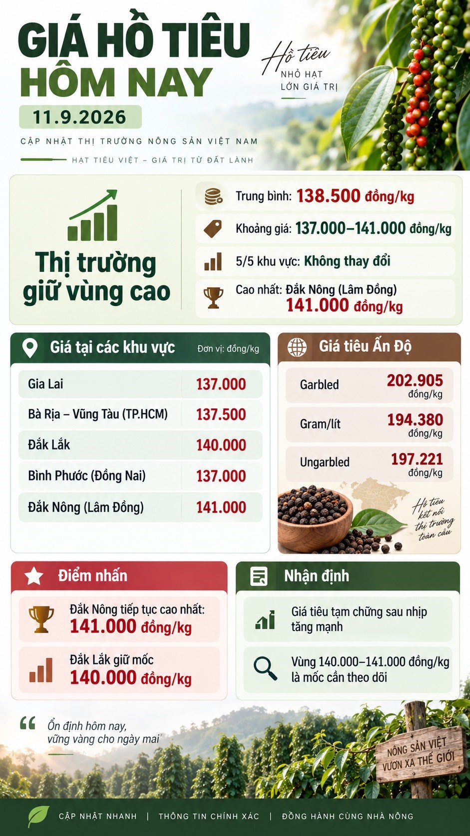 Giá tiêu hôm nay 11.9 chưa đổi, thị trường chờ nhịp tăng mới - ảnh 3