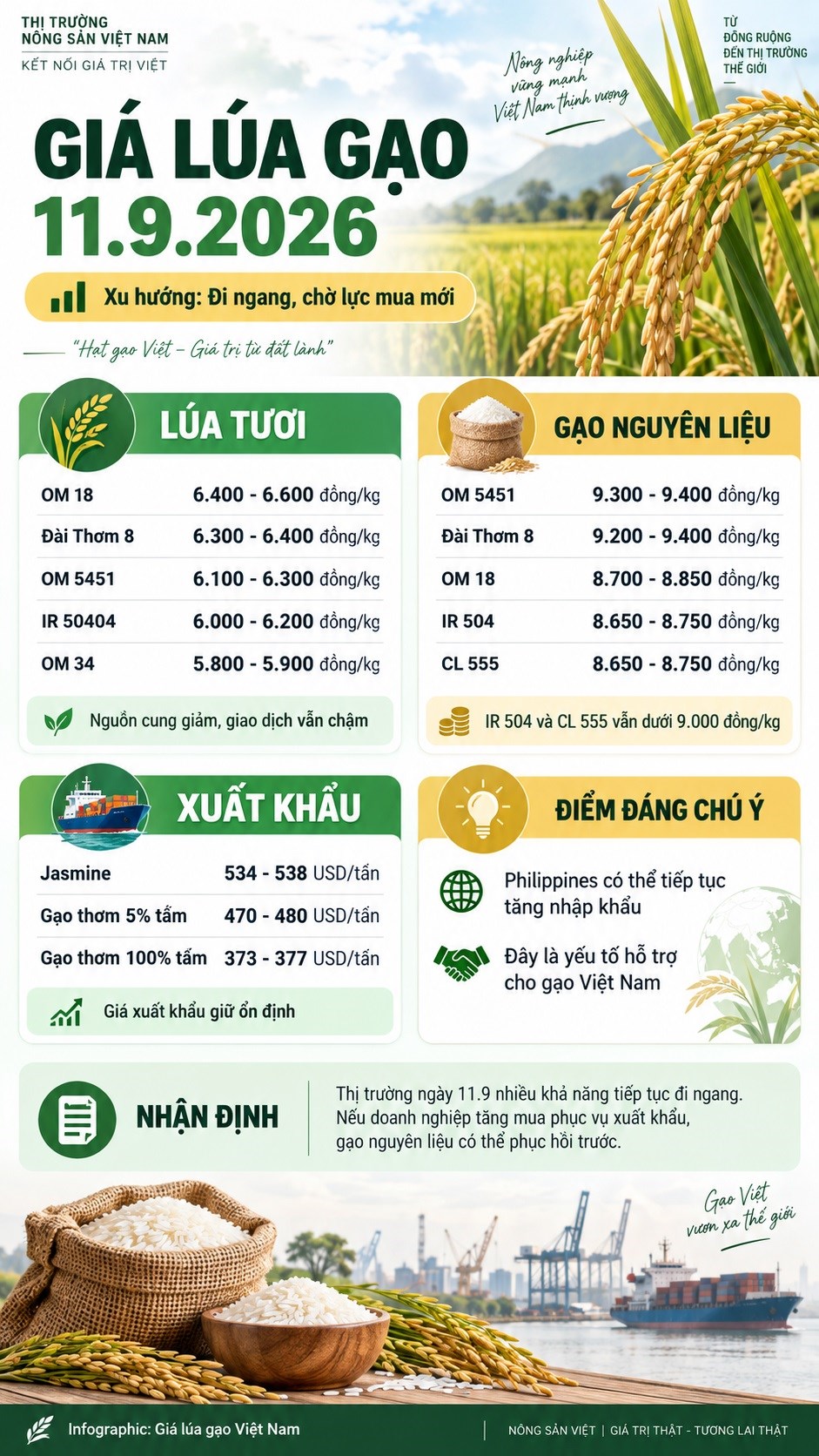 Giá lúa gạo hôm nay 11.9.2026: IR 504, CL 555 vẫn dưới 9.000 đồng/kg - ảnh 3