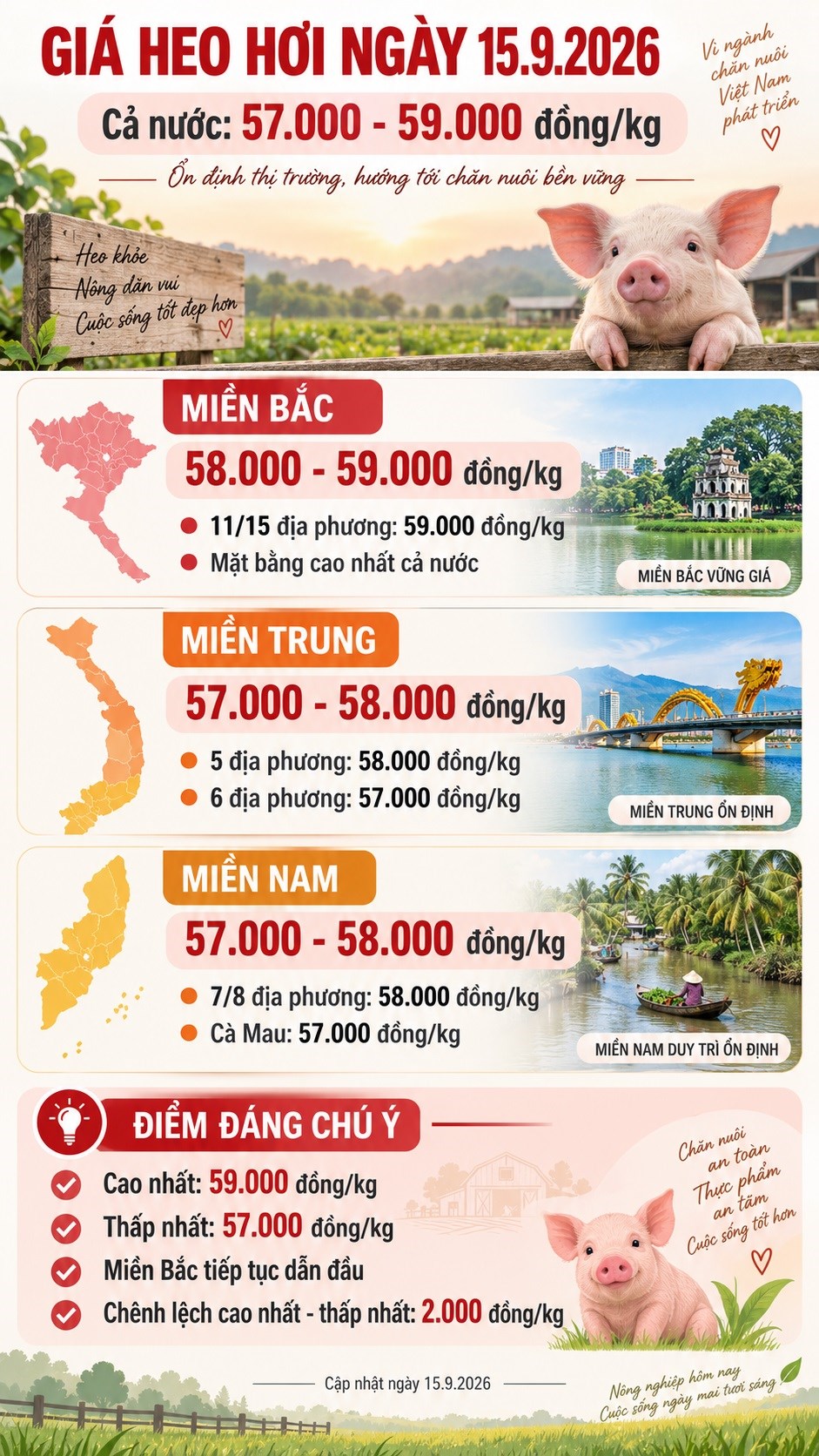 Giá heo hơi hôm nay 15.9.2026: Chênh lệch ba miền chỉ 2.000 đồng/kg - ảnh 3