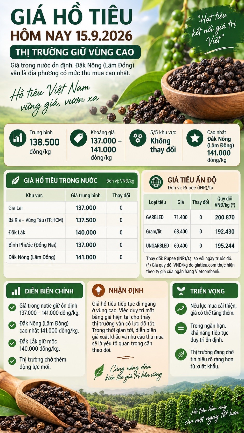 Giá hồ tiêu hôm nay 15.9.2026 giữ vùng 137.000–141.000 đồng/kg - ảnh 3