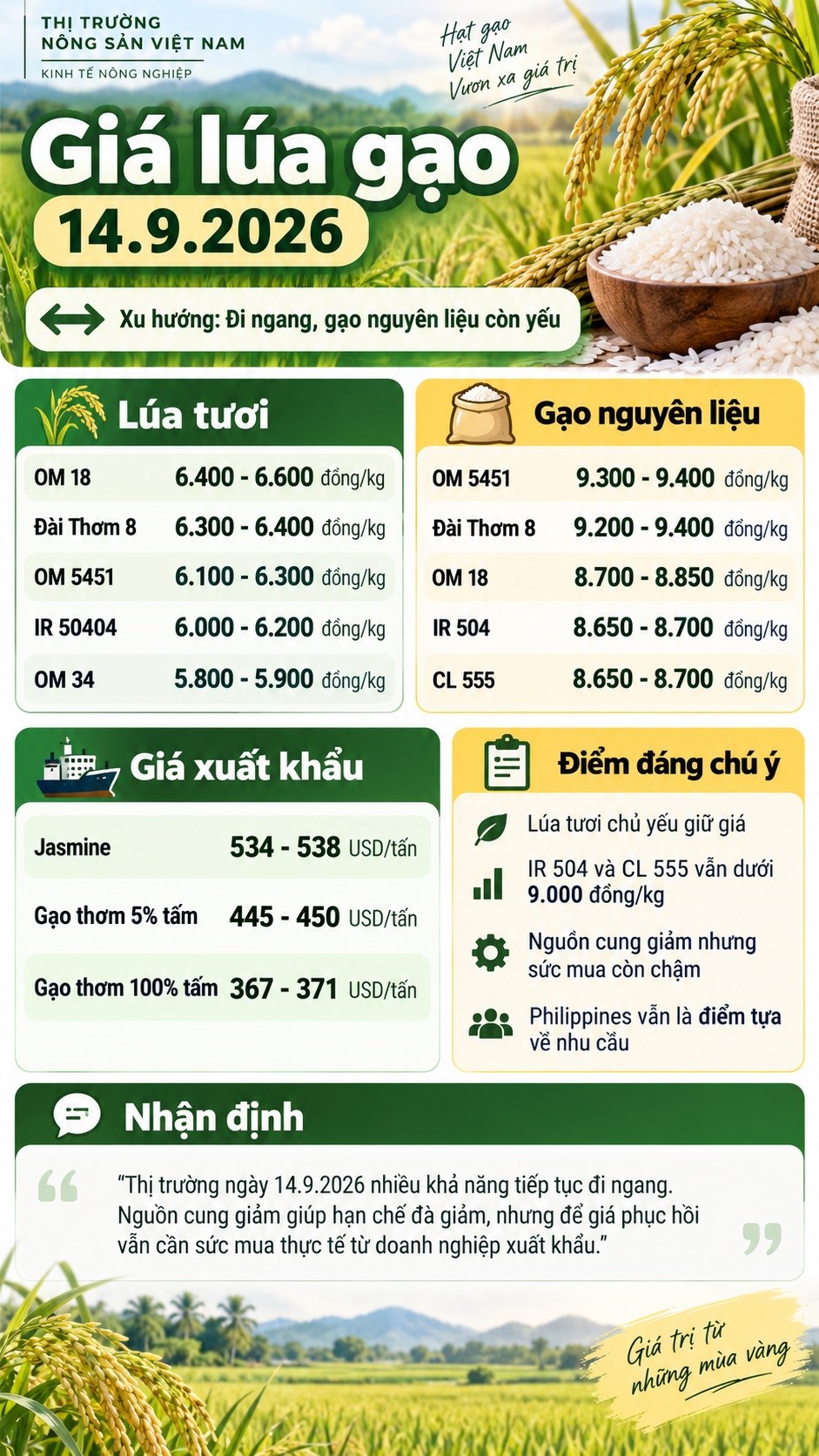Giá lúa gạo hôm nay 14.9.2026: Thị trường đi ngang, chờ lực mua mới - ảnh 3