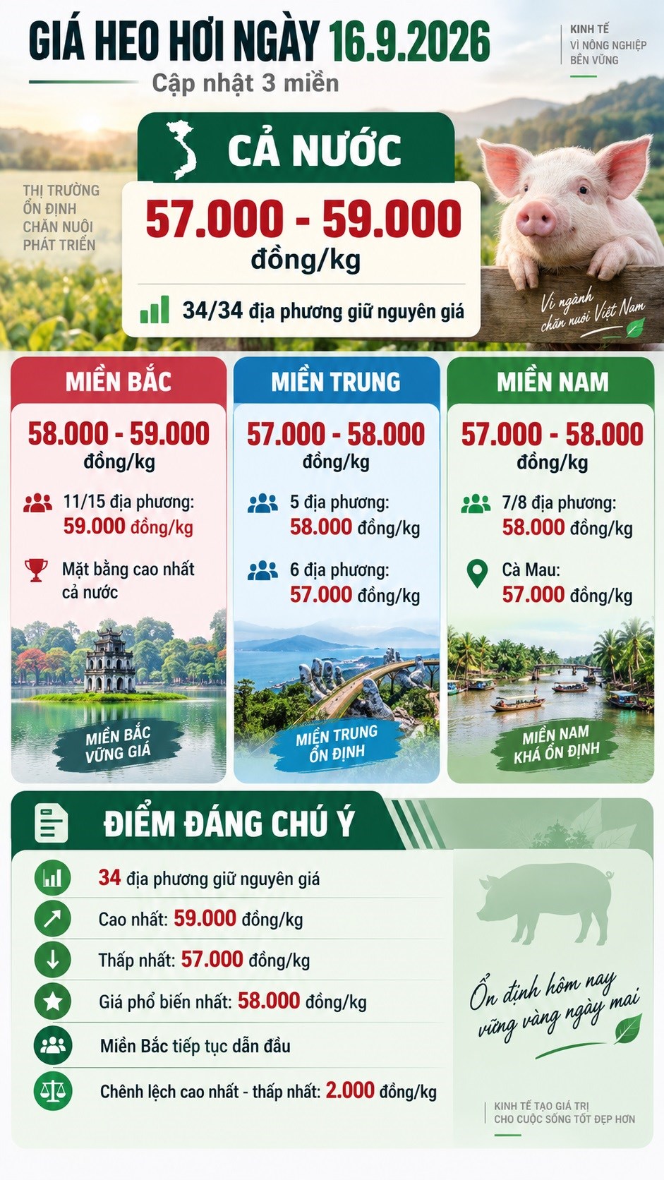 Giá heo hơi hôm nay 16.9.2026: Cả nước đồng loạt đi ngang - ảnh 3