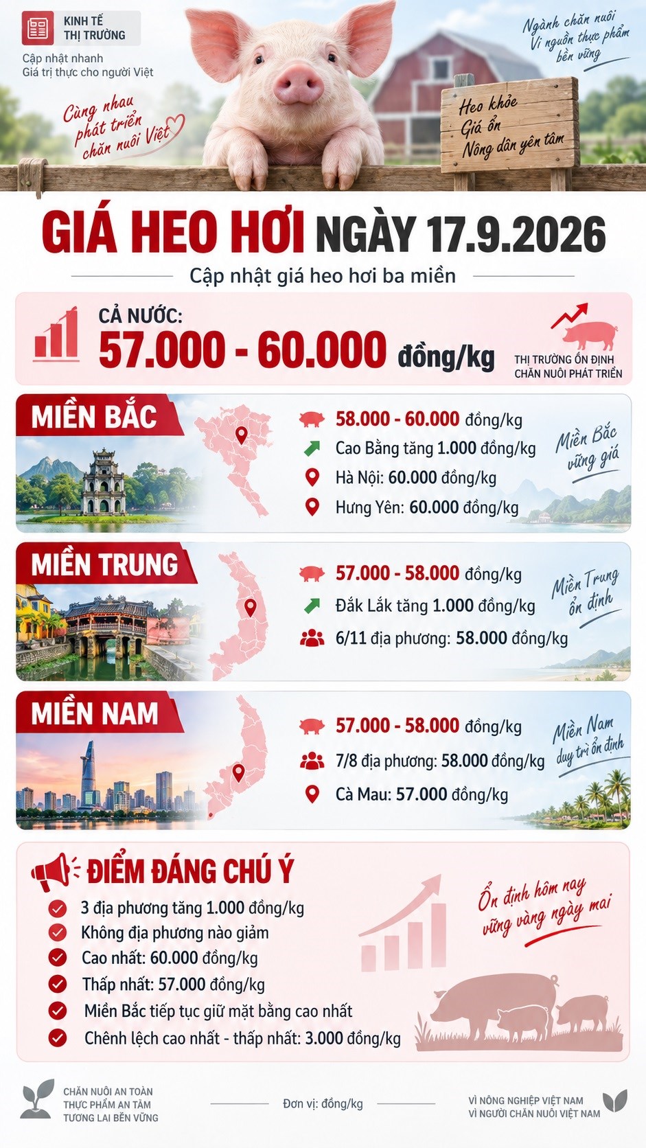 Giá heo hơi hôm nay 17.9.2026: Miền Bắc tiếp tục dẫn đầu - ảnh 3