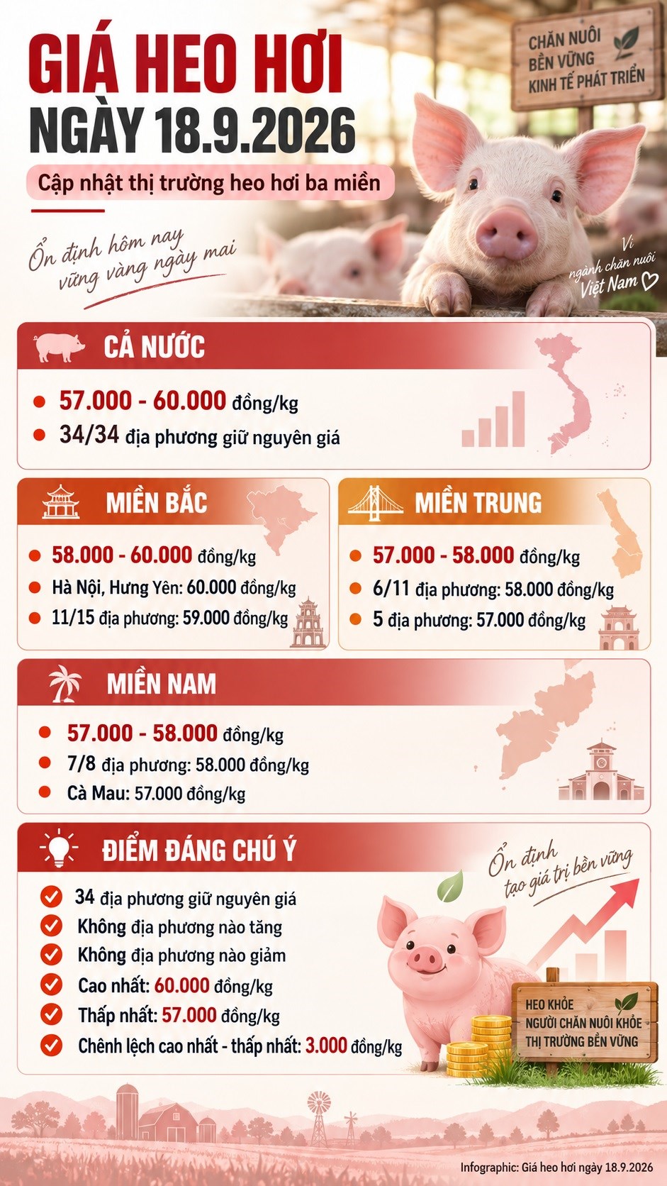Giá heo hơi hôm nay 18.9.2026: Miền Bắc vẫn cao nhất - ảnh 3