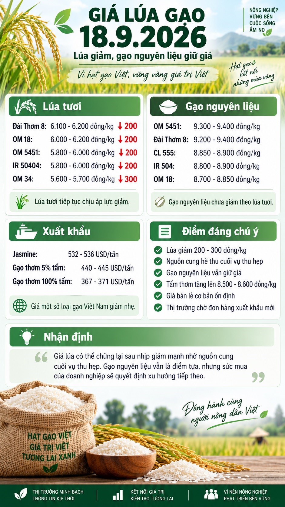Giá lúa gạo hôm nay 18.9.2026: Lúa tươi giảm tới 300 đồng/kg - ảnh 3