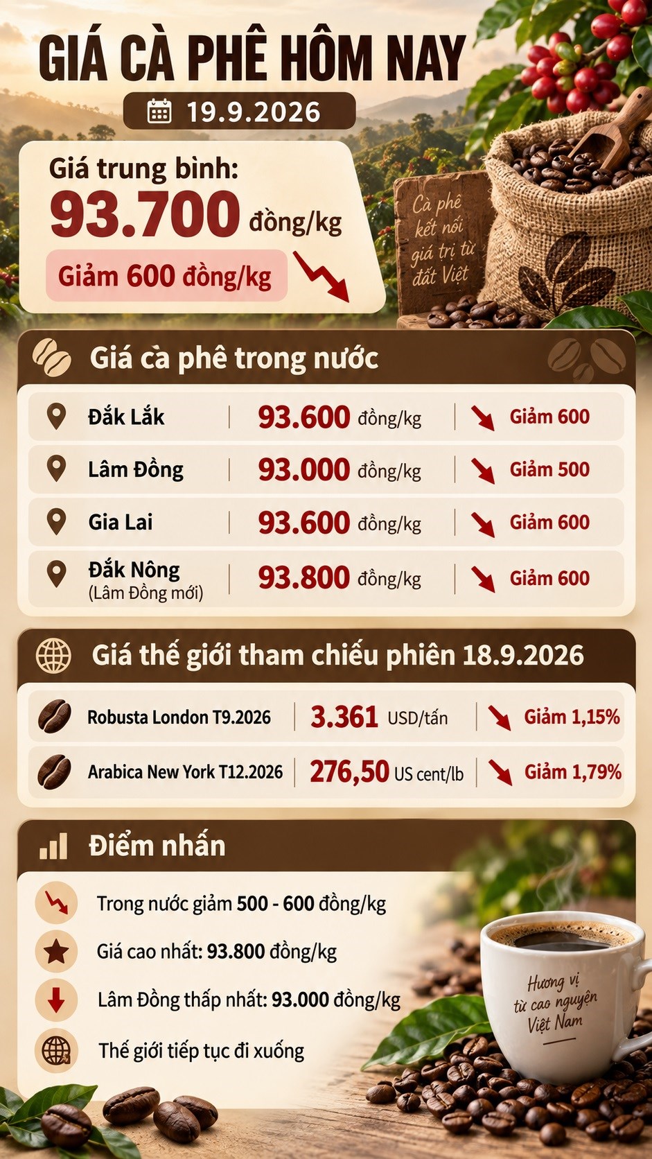 Giá cà phê hôm nay 19.9 giảm tiếp, cao nhất còn 93.800 đồng/kg - ảnh 3