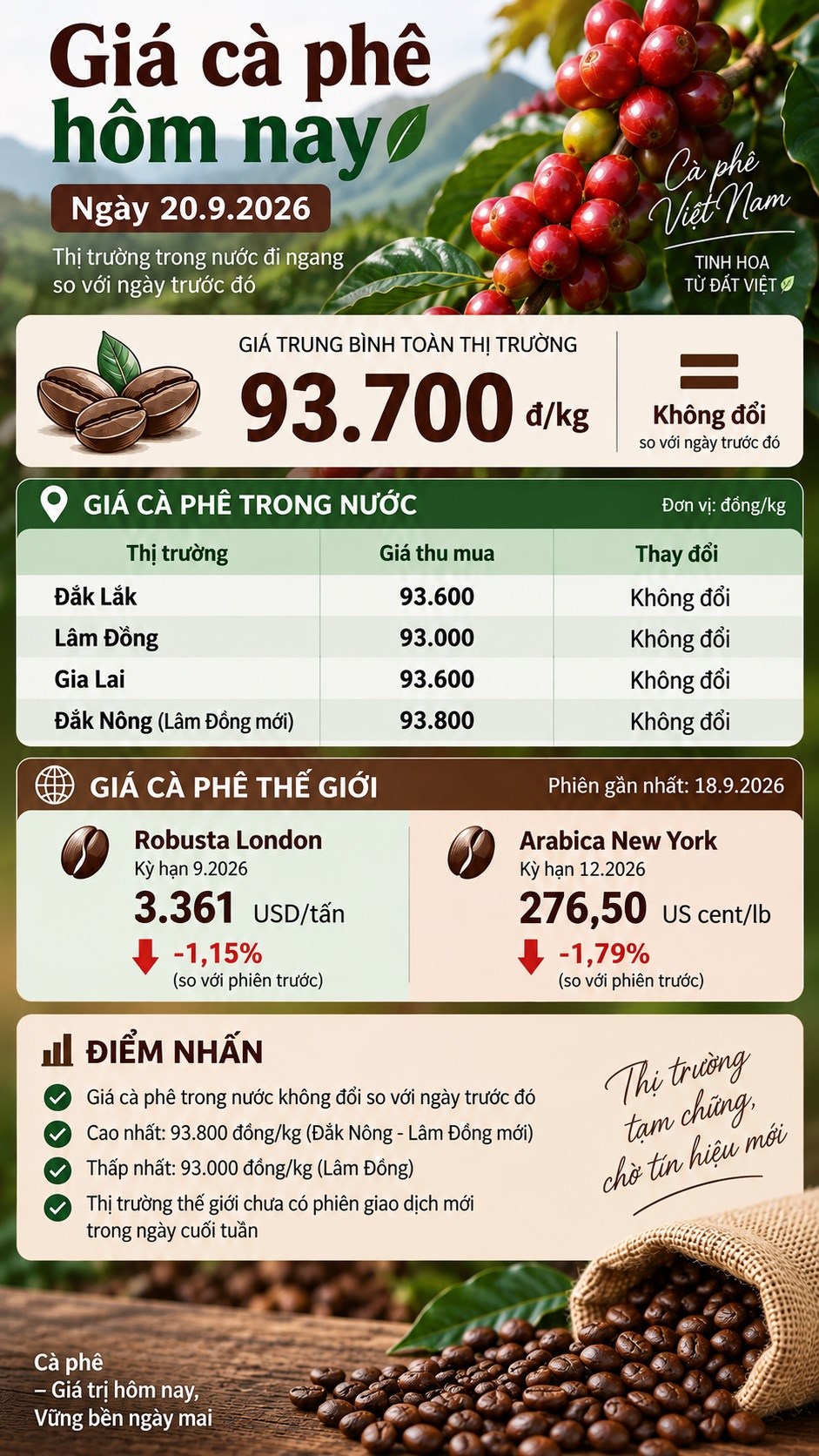 Giá cà phê hôm nay 20.9.2026: Thị trường tạm chững sau chuỗi giảm - ảnh 3