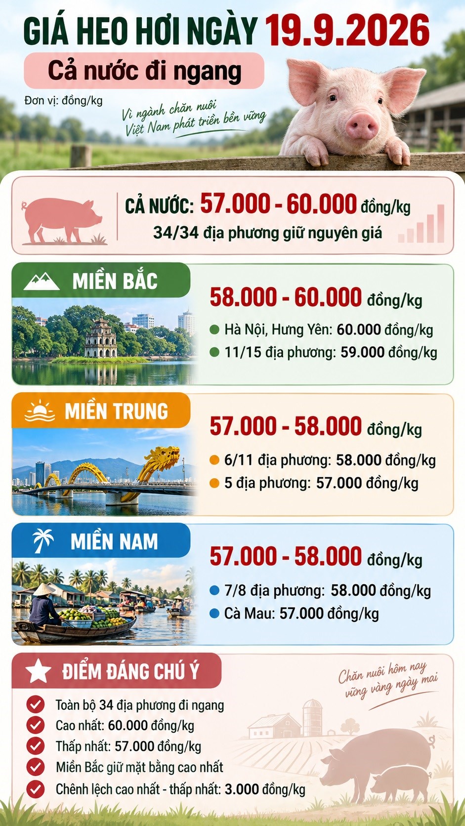 Giá heo hơi hôm nay 19.9: Hà Nội, Hưng Yên giữ đỉnh 60.000 đồng/kg - ảnh 3